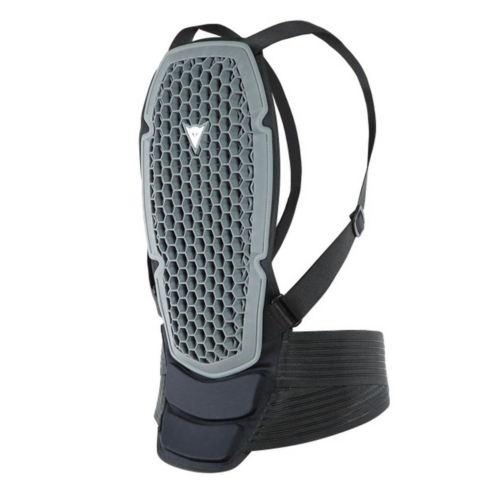 Dainese Pro Armor Back Protector