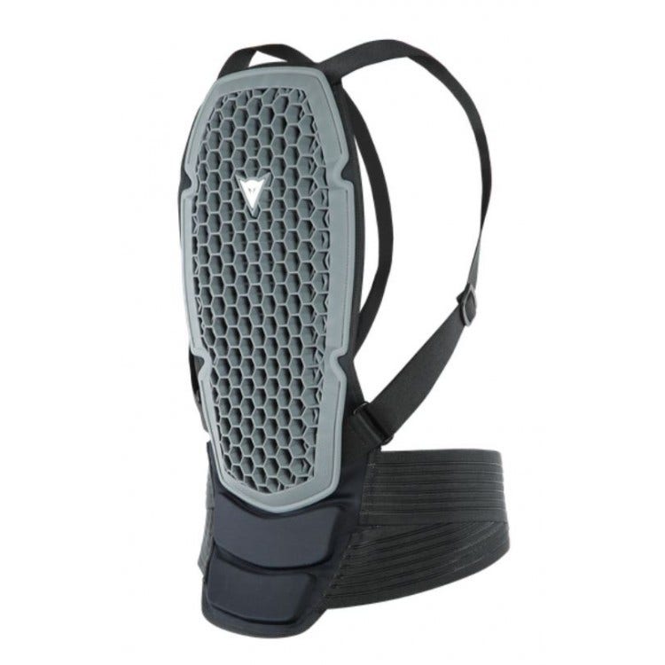 Dainese Pro Armor Back Protector G2
