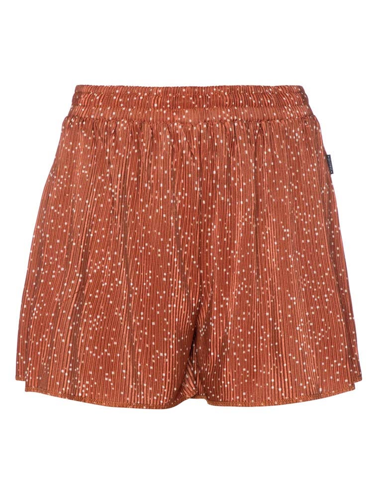 Protest Haillo Shorts Bruin