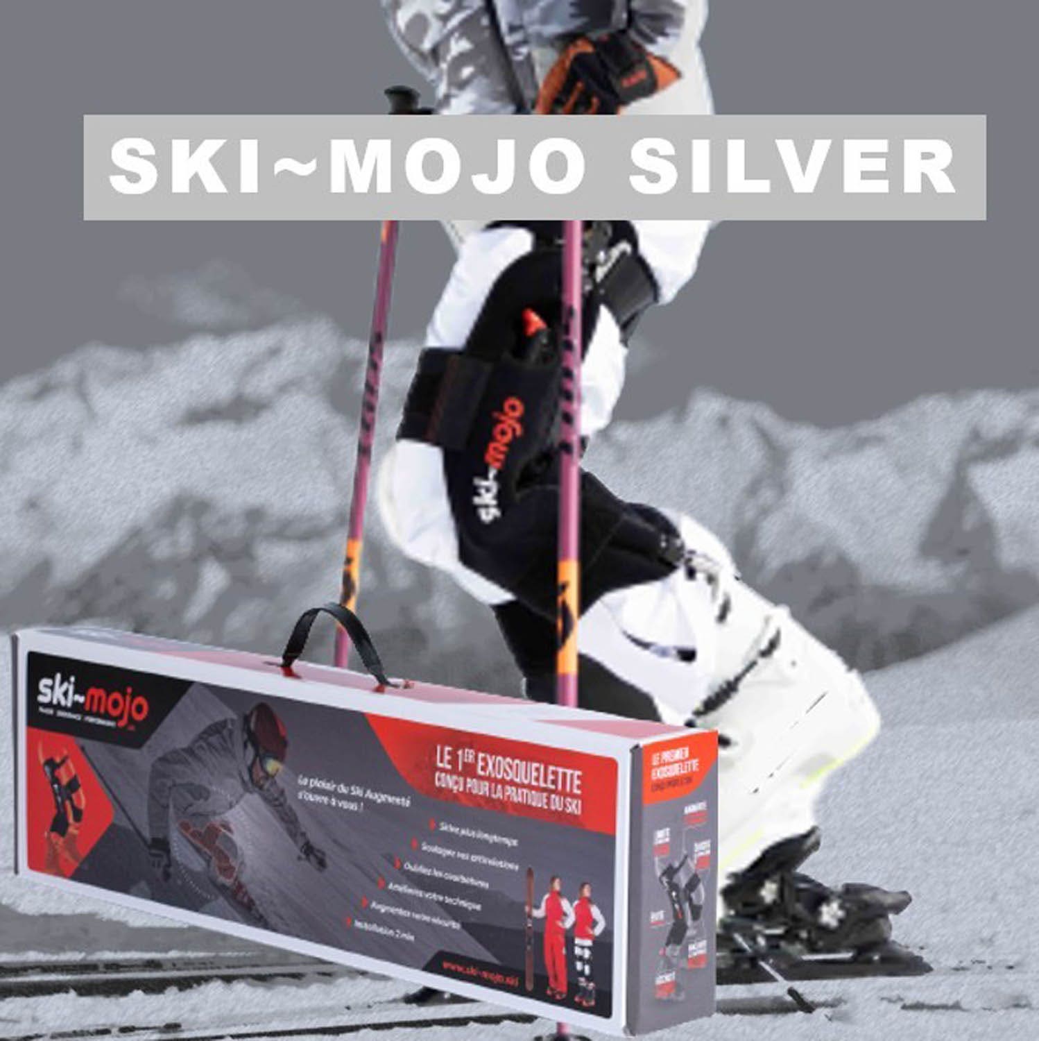 Ski Mojo Silver