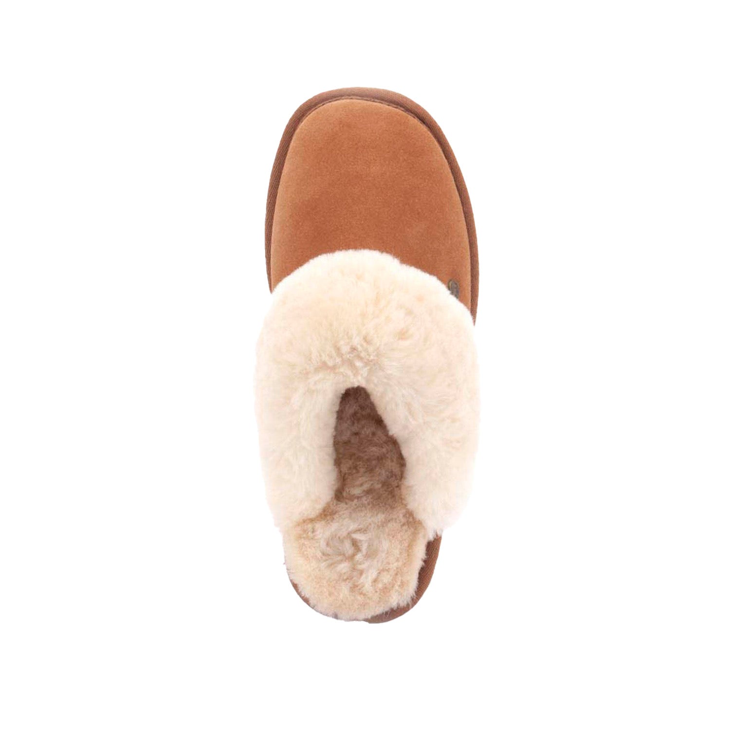 Warmbat Flurry Suede Dames