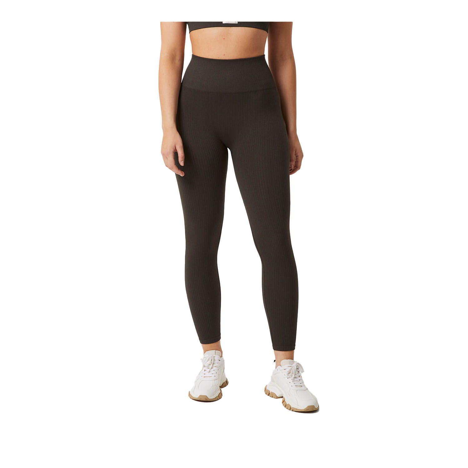 Björn Borg Studio Seamless Rib Tights