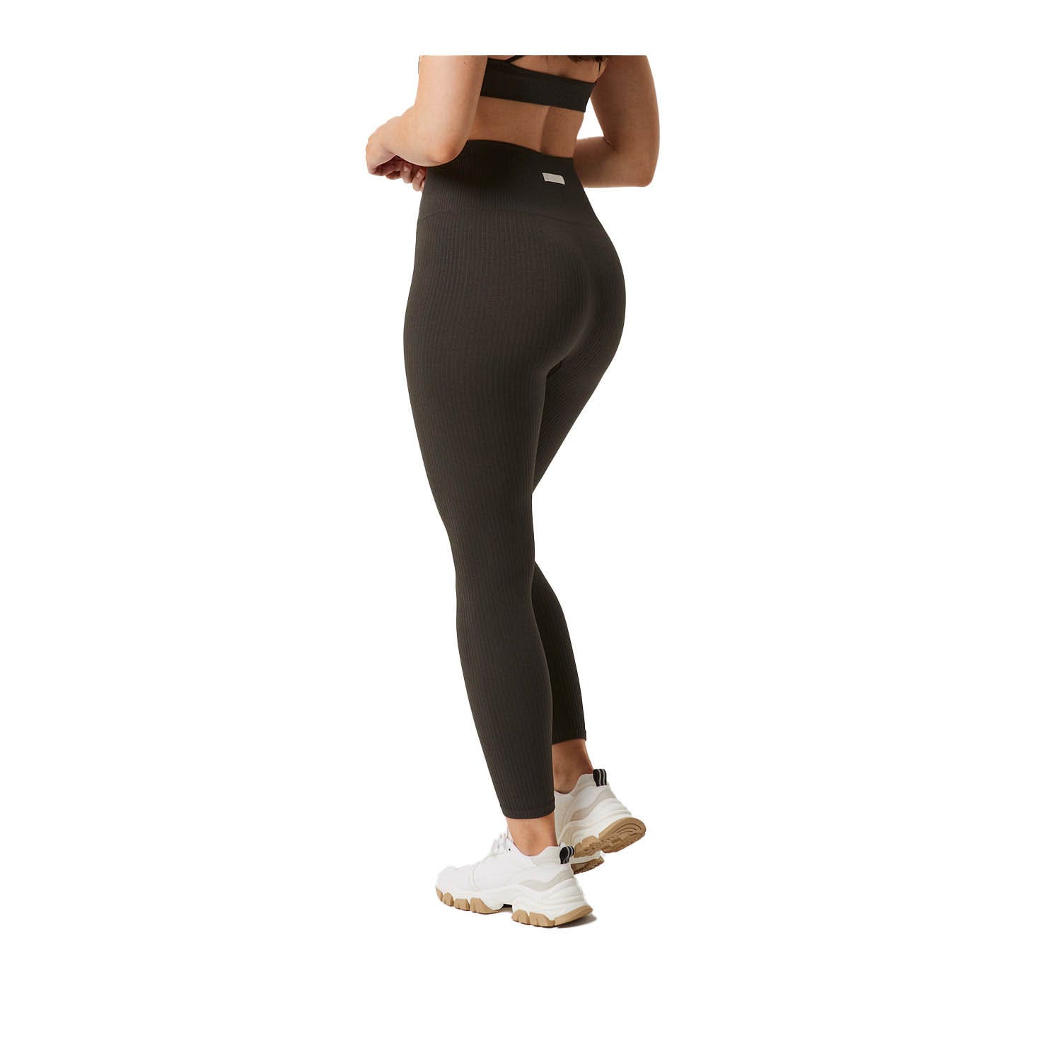 Björn Borg Studio Seamless Rib Tights