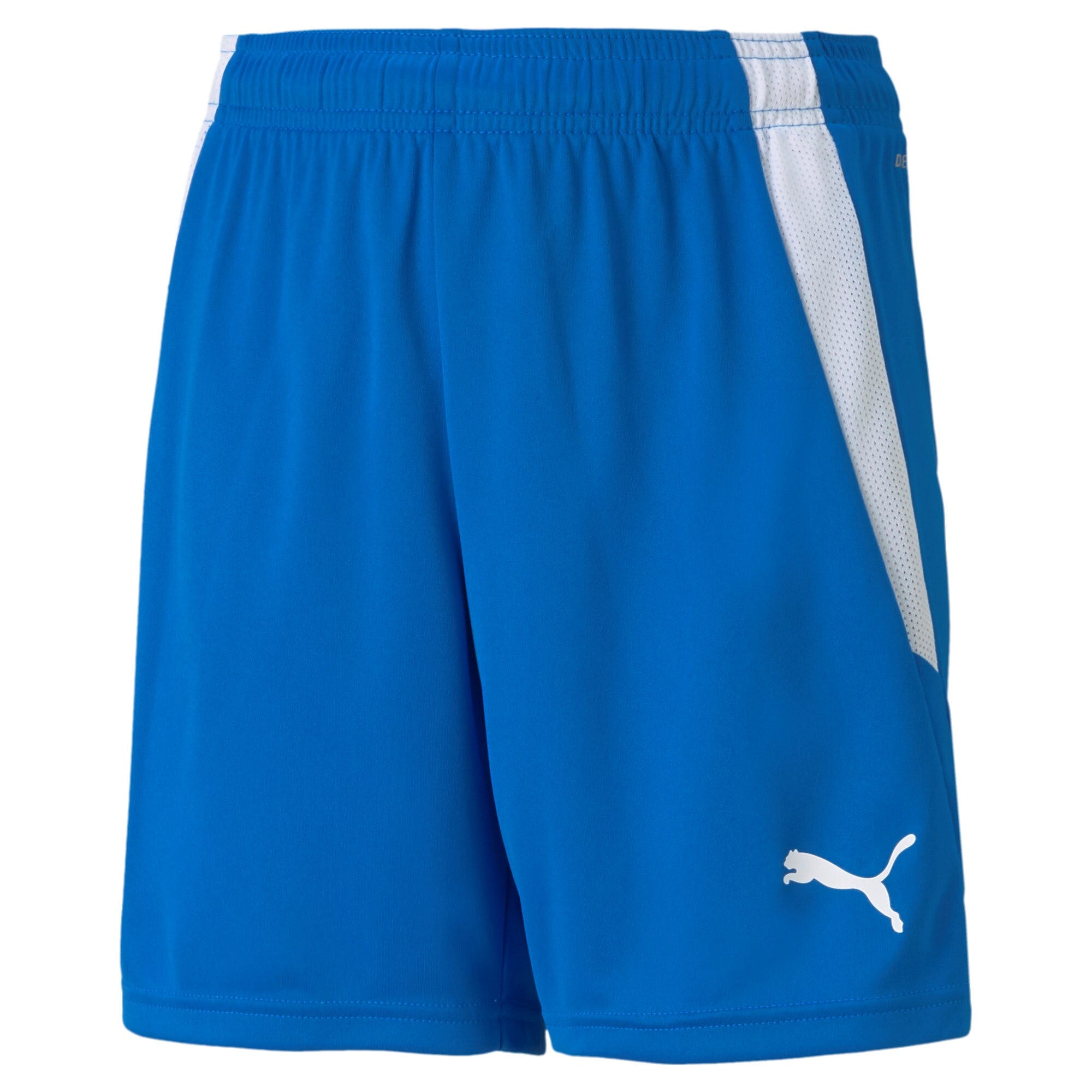 PUMA Teamliga Shorts Kids