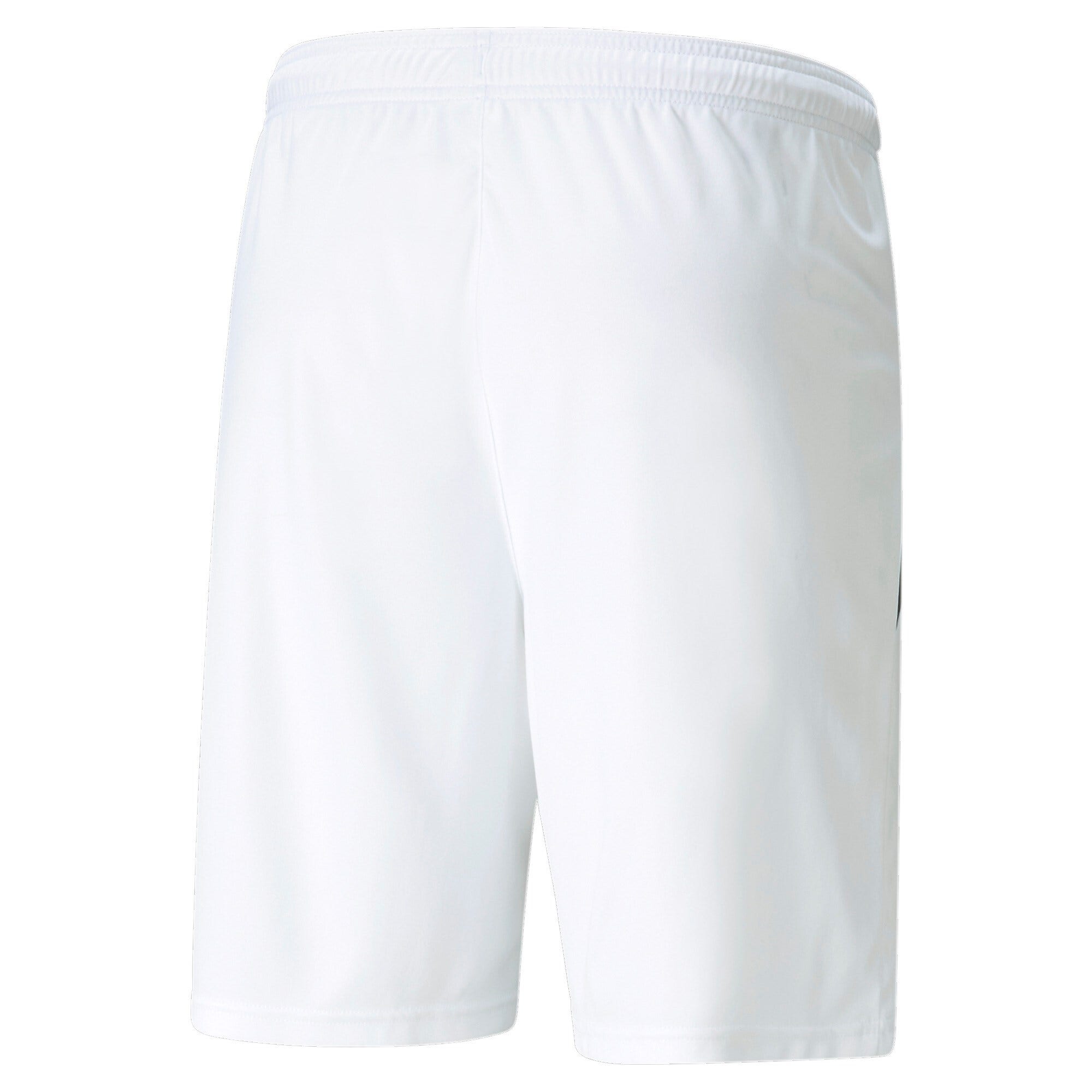 PUMA Teamliga Shorts