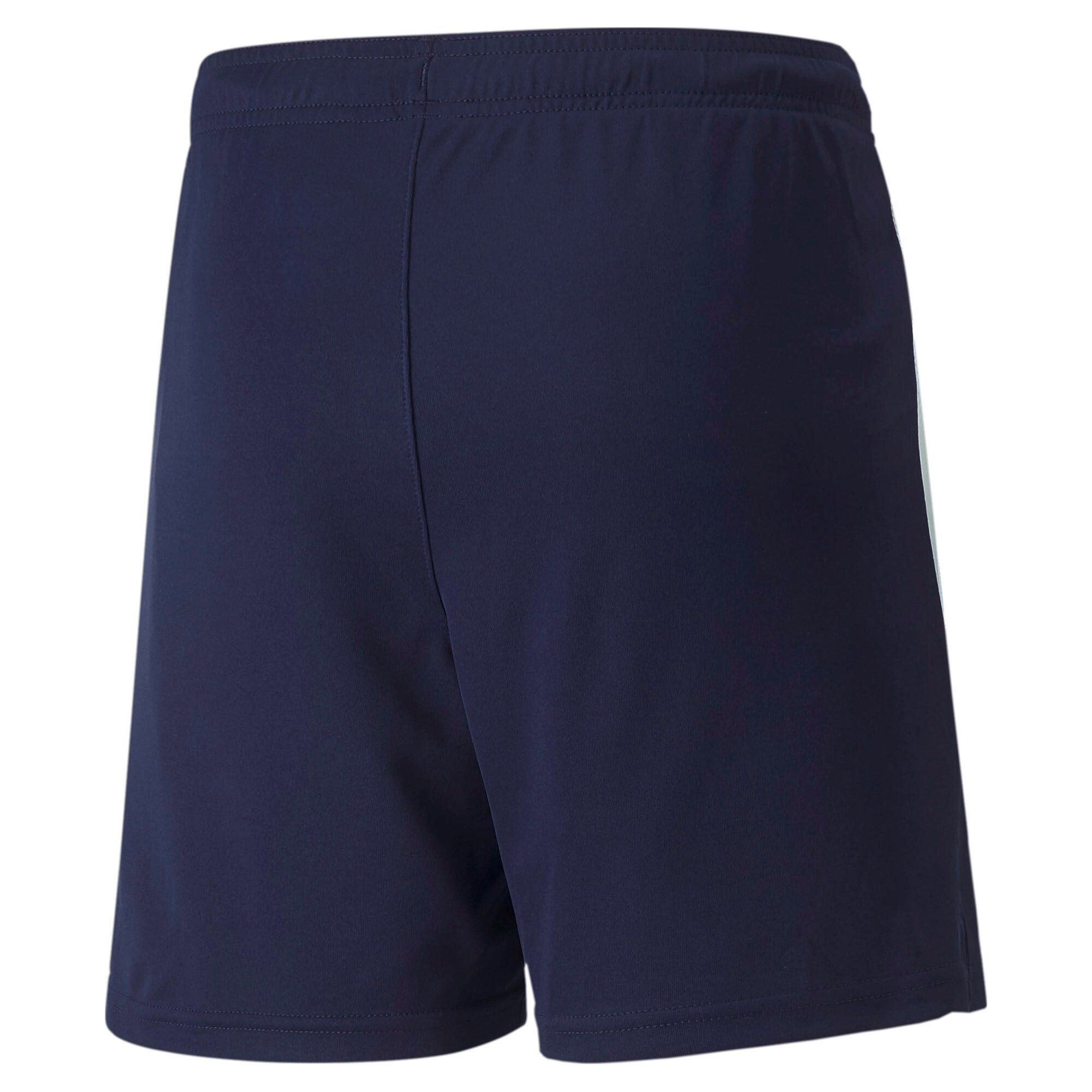 PUMA Teamliga Shorts Kids