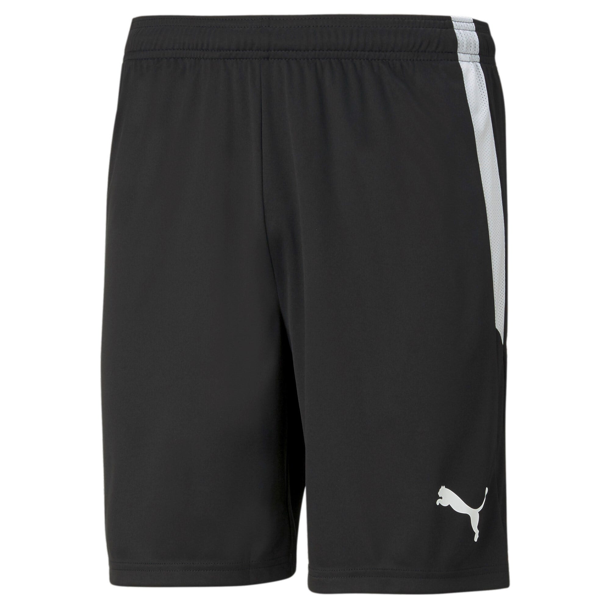 PUMA Teamliga Shorts