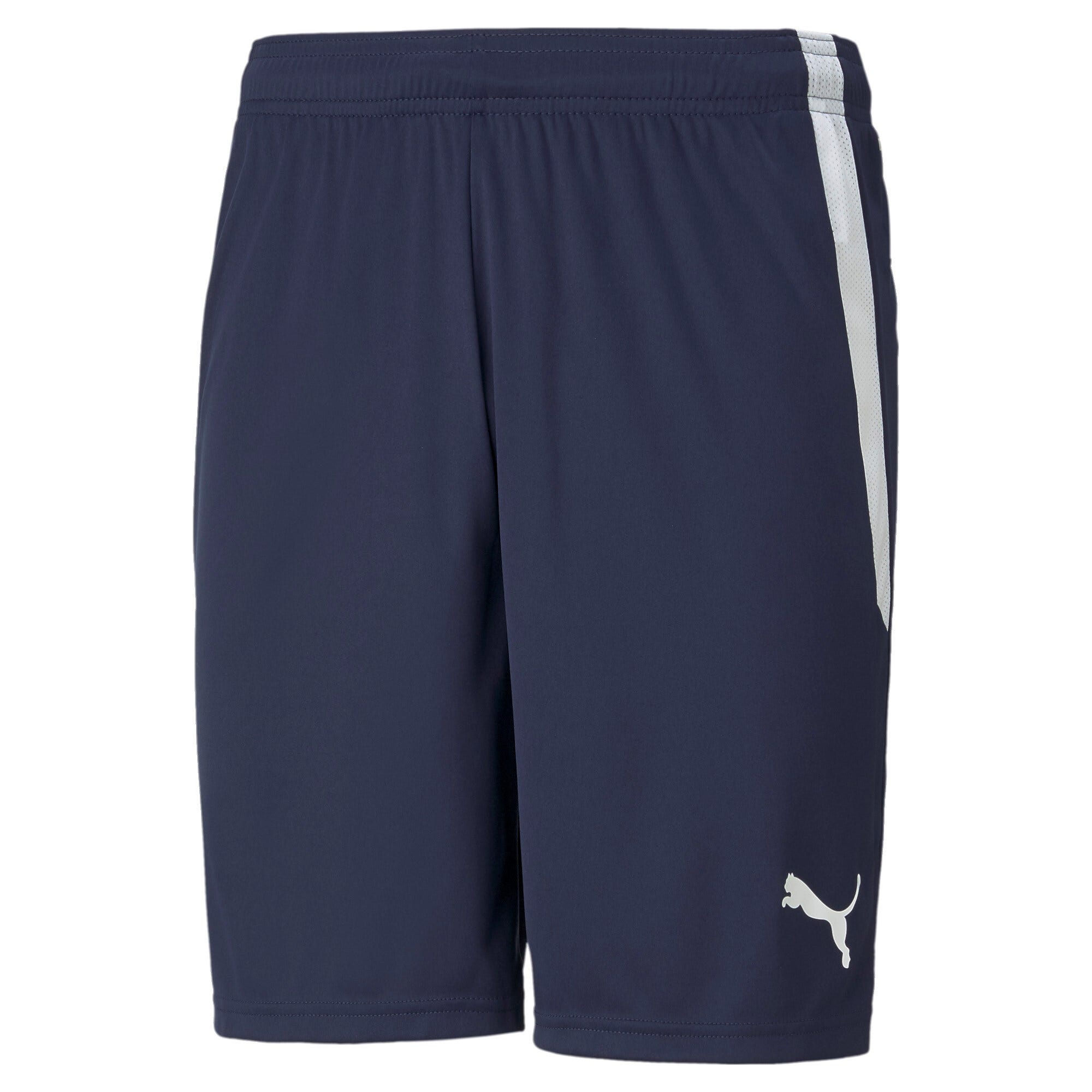 PUMA Teamliga Shorts