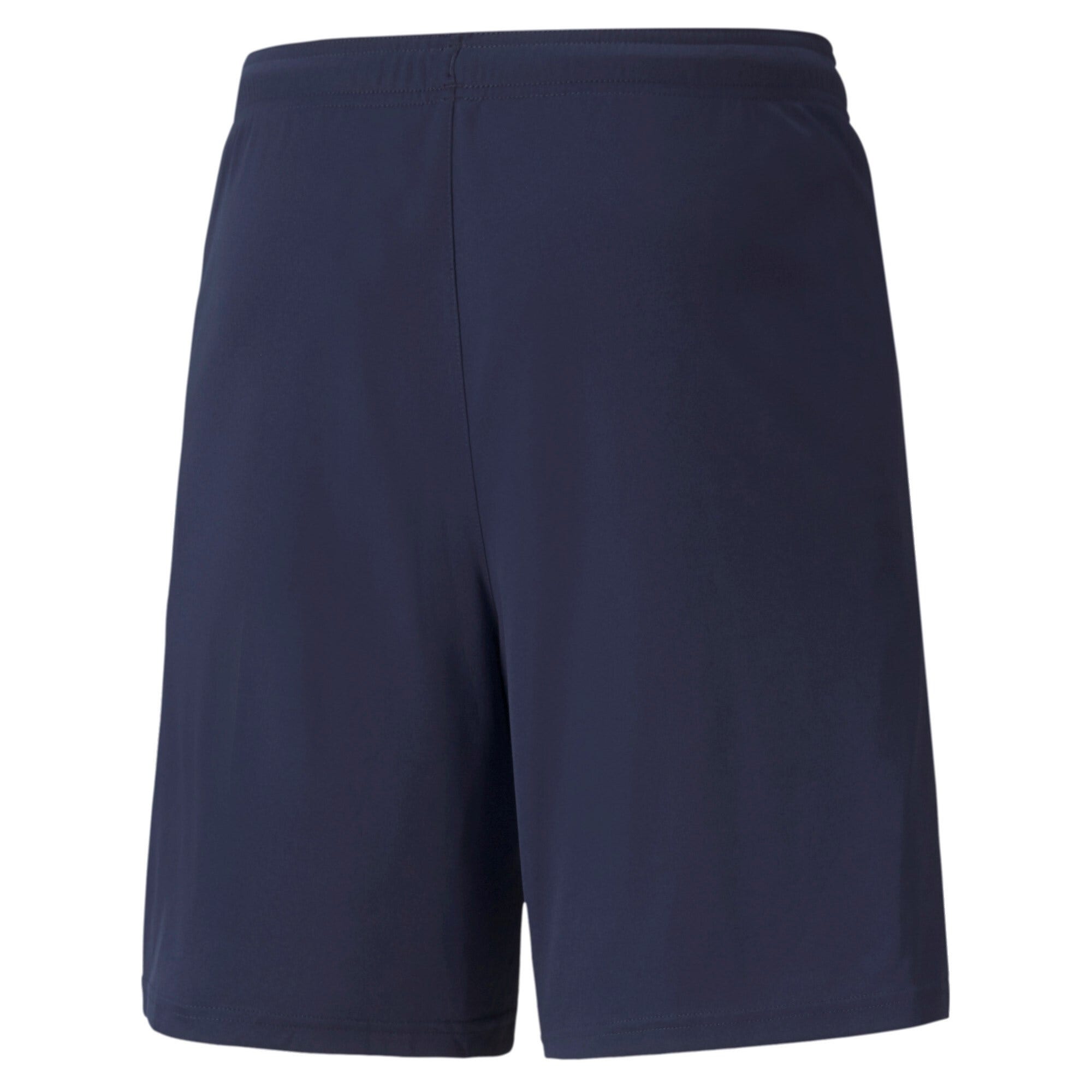 PUMA Teamliga Shorts