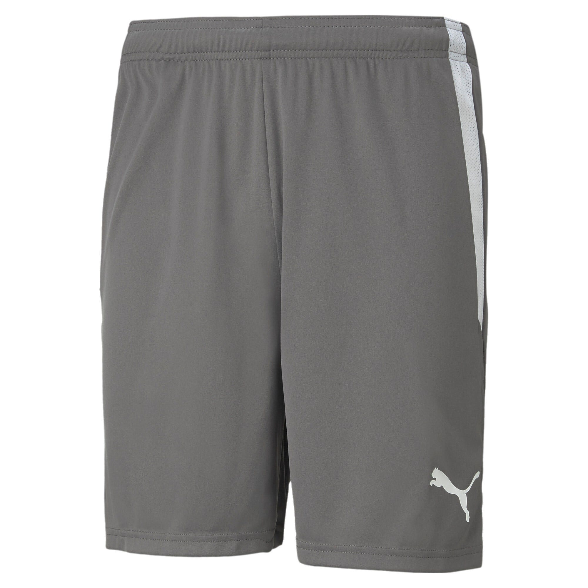 PUMA Teamliga Shorts 
