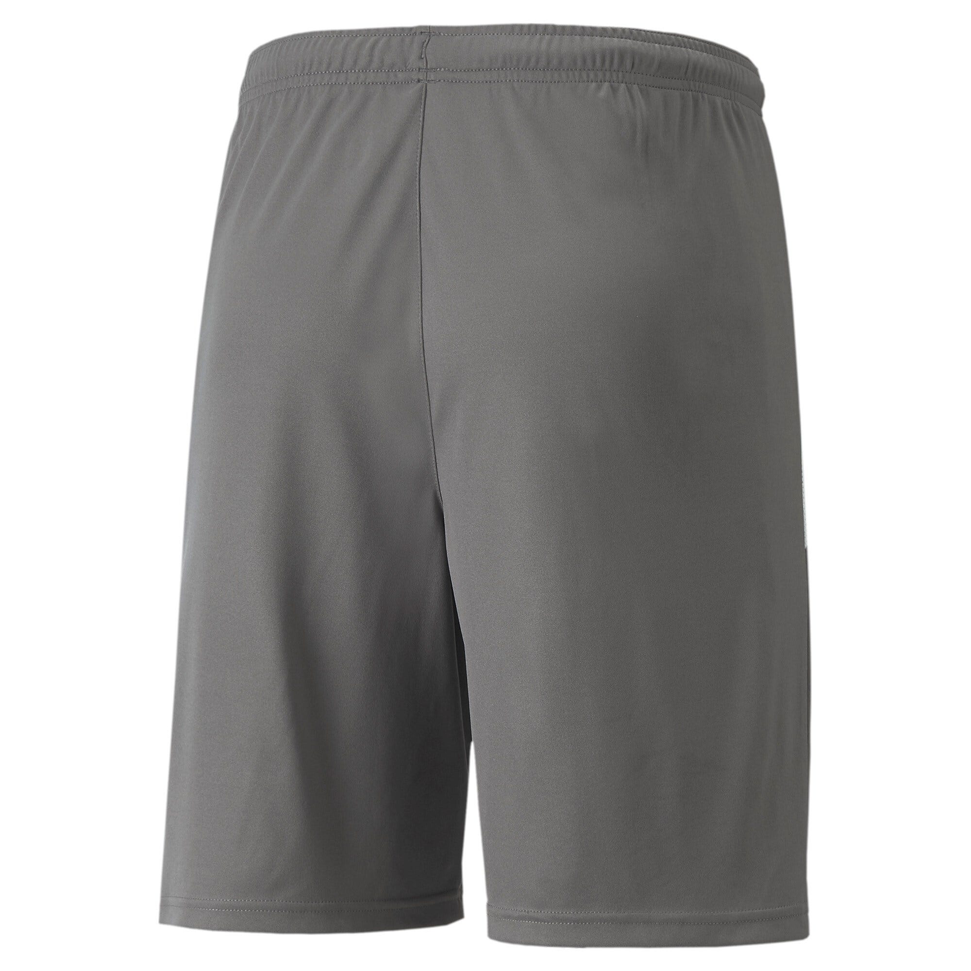 PUMA Teamliga Shorts 