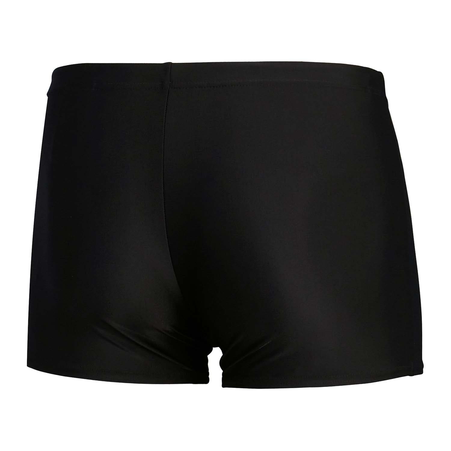 Speedo Eco Mens Medly Logo Aquashort