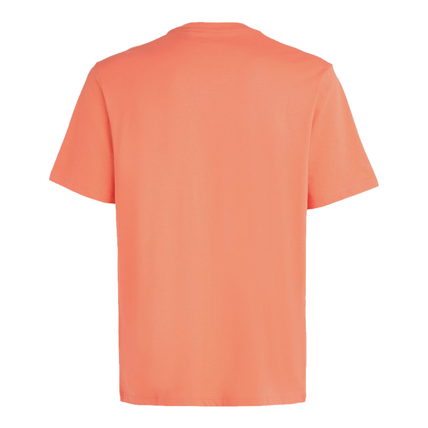 O'Neill T-shirt Small Logo