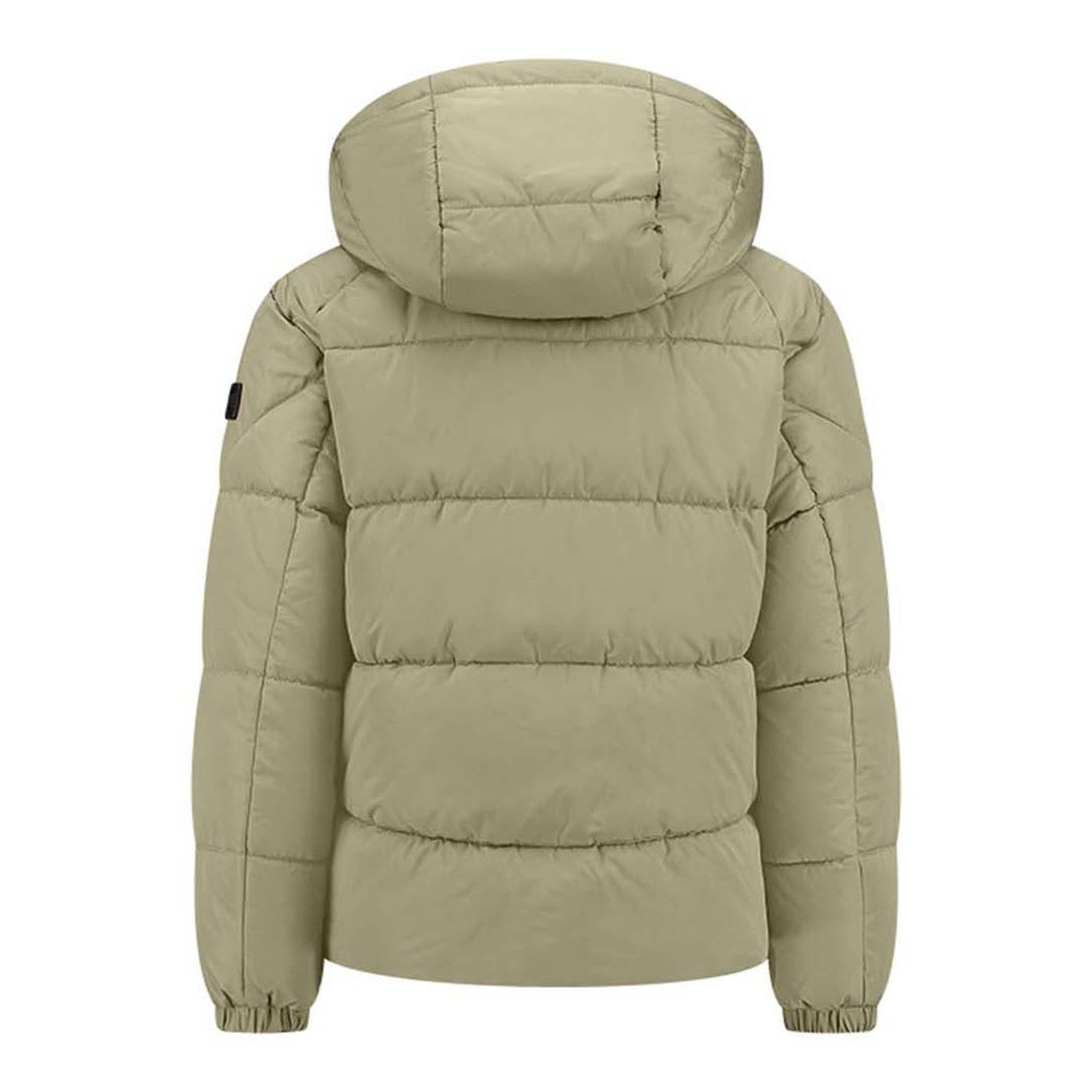 Malelions Junior Donn Puffer