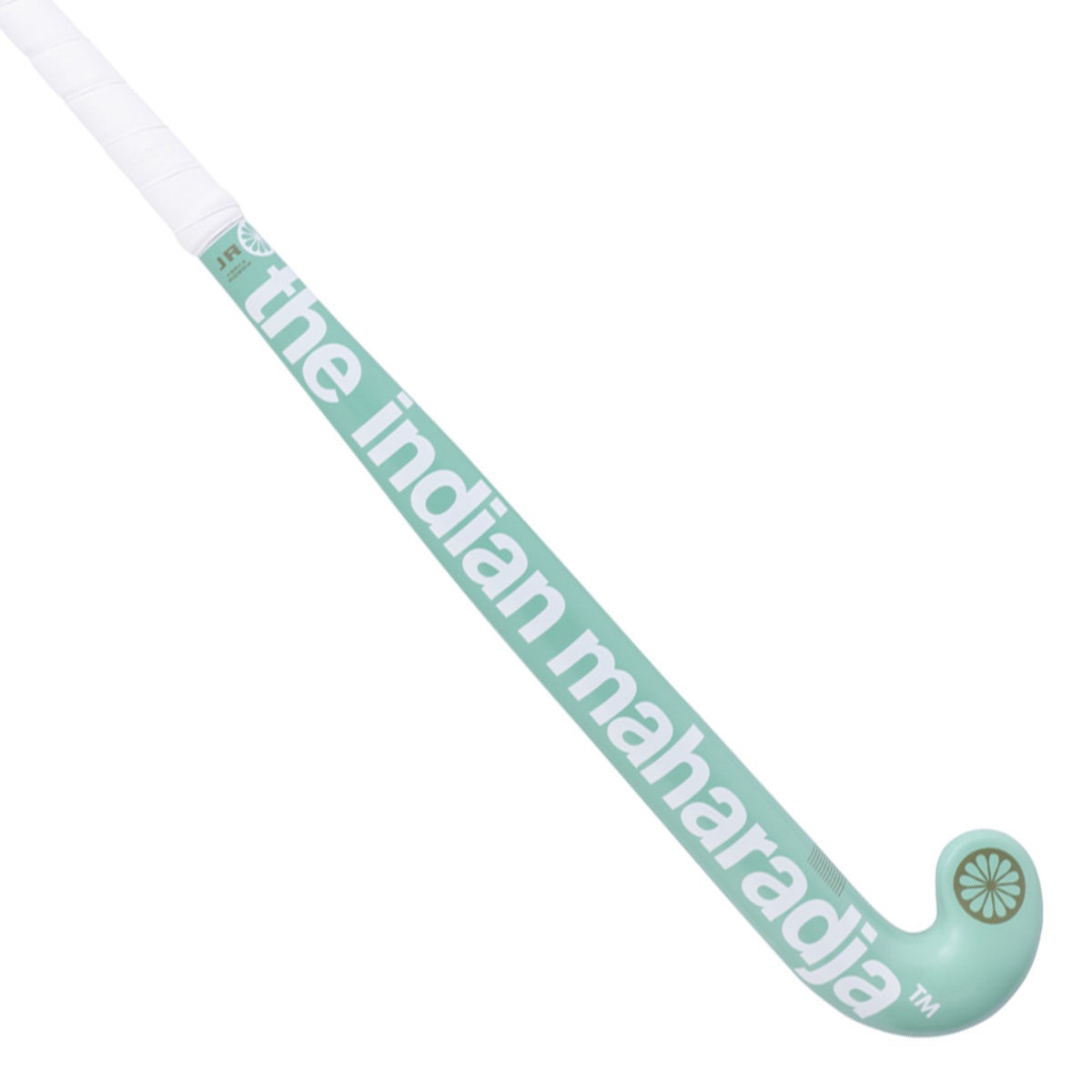 The Indian Maharadja Strike Kids