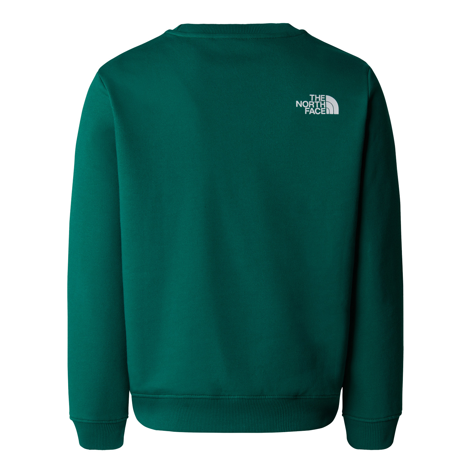 The North Face Varsity Relaxed Crew Kids