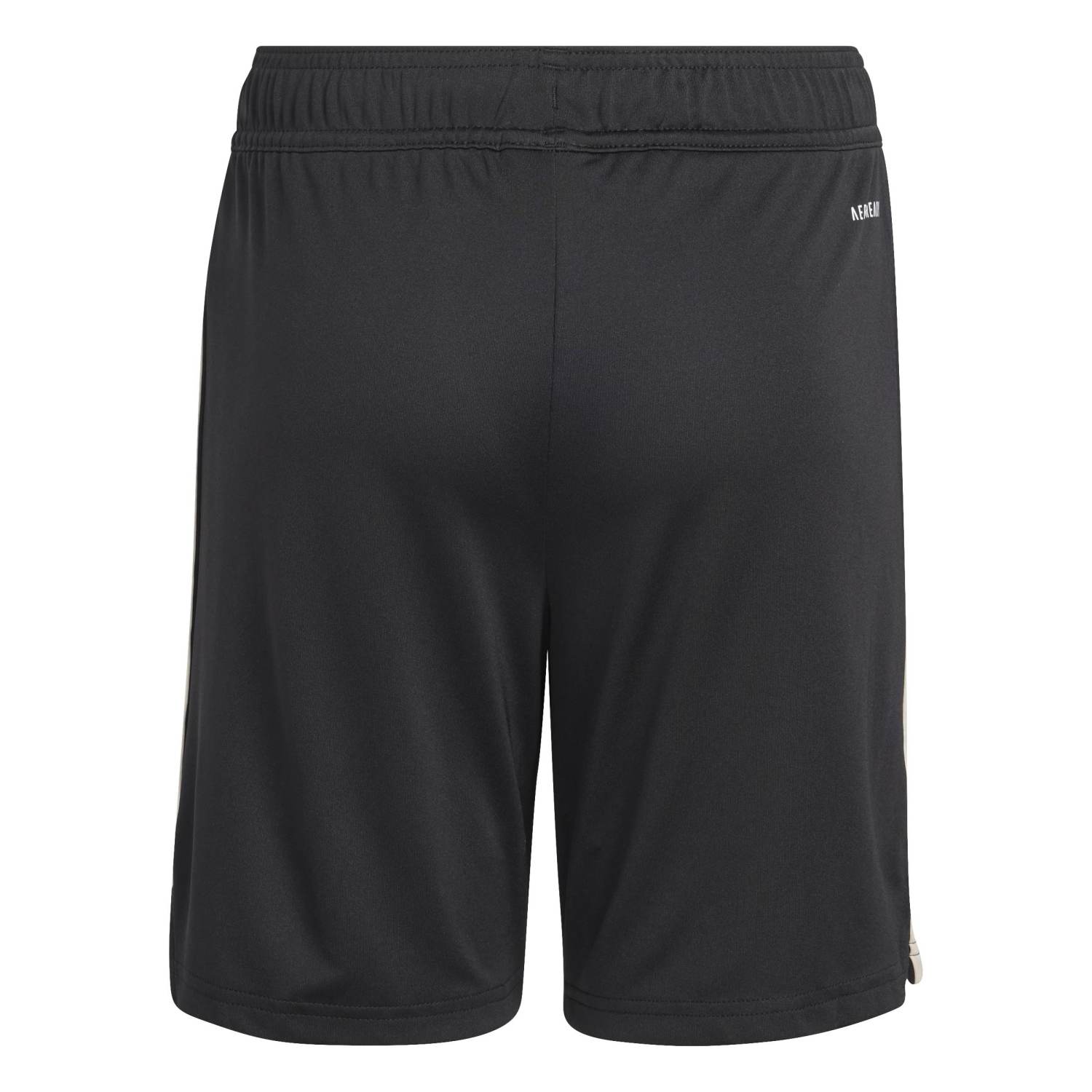 adidas FC Bayern München 25/26 Derde Short