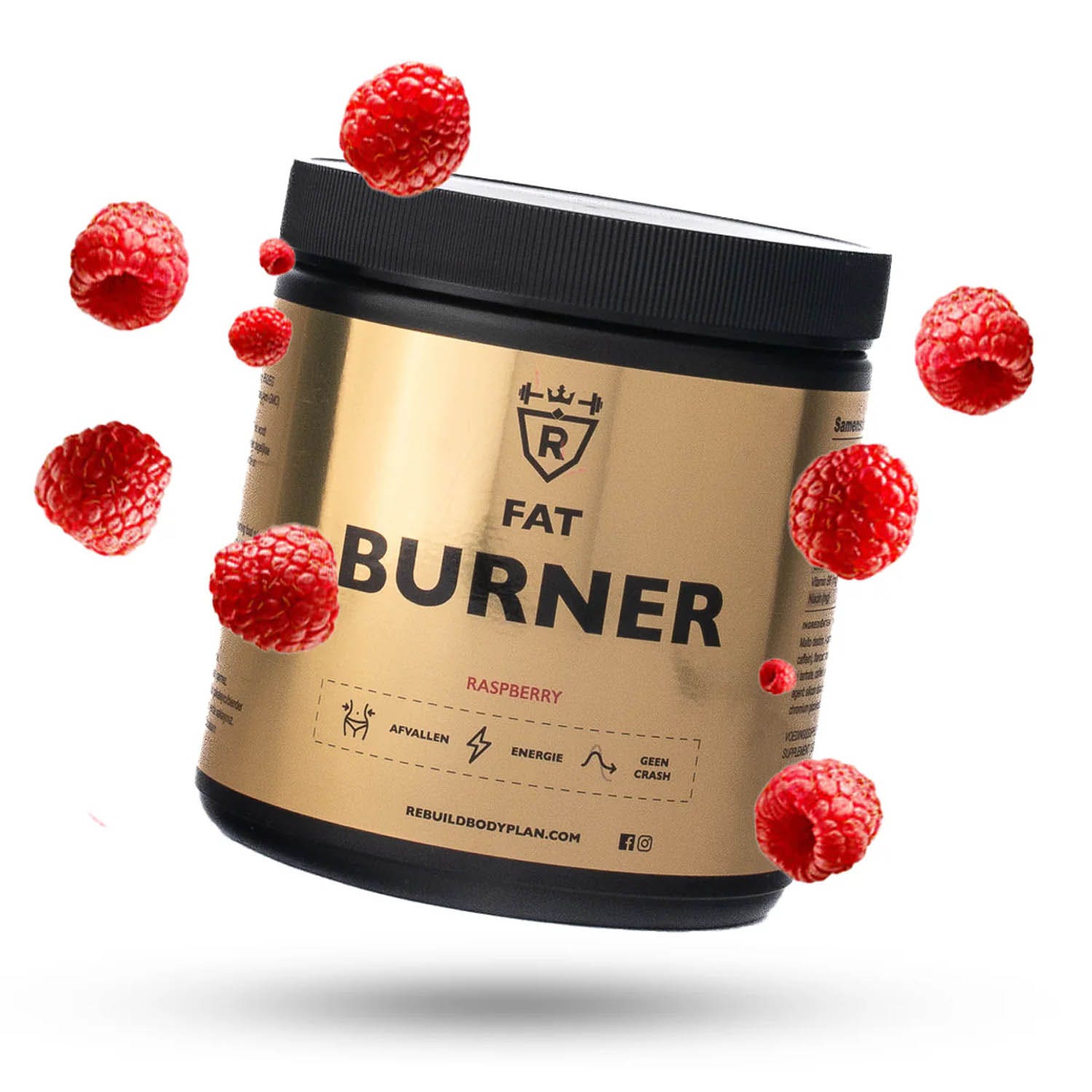 Rebuild Body Plan Fatburner Raspberry