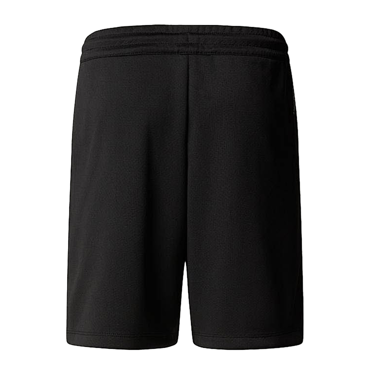 The North Face Never Stop Shorts Kids