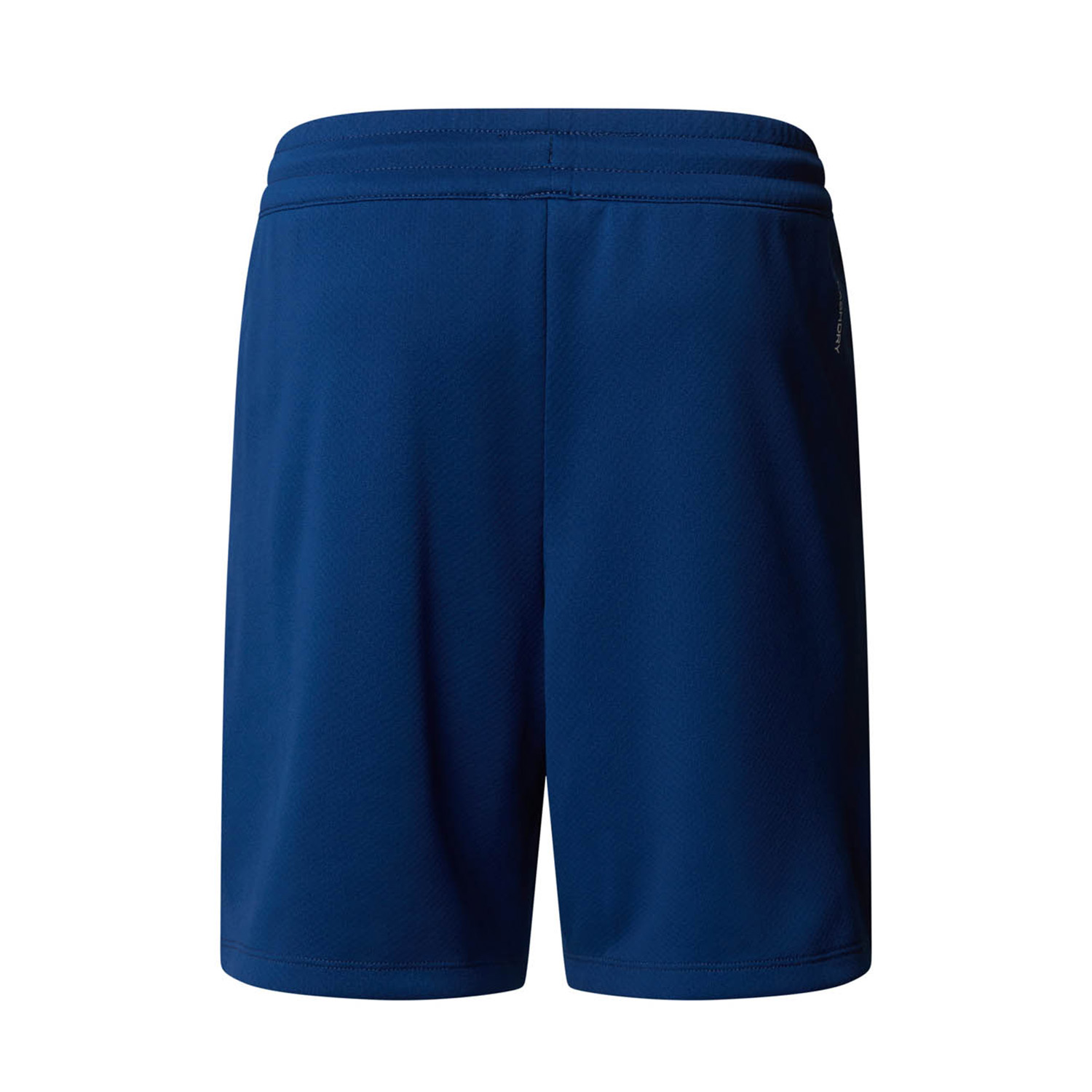 The North Face Never Stop Shorts Kids