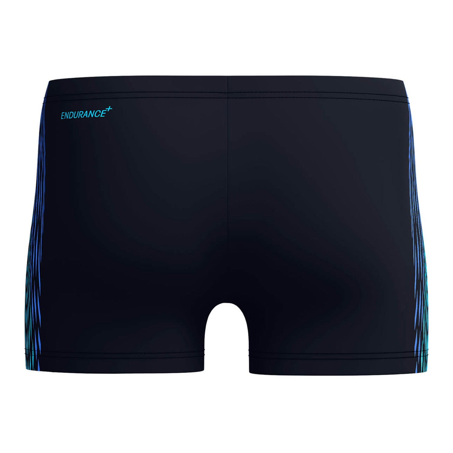 Speedo Eco+ Tech Panel Aquashort