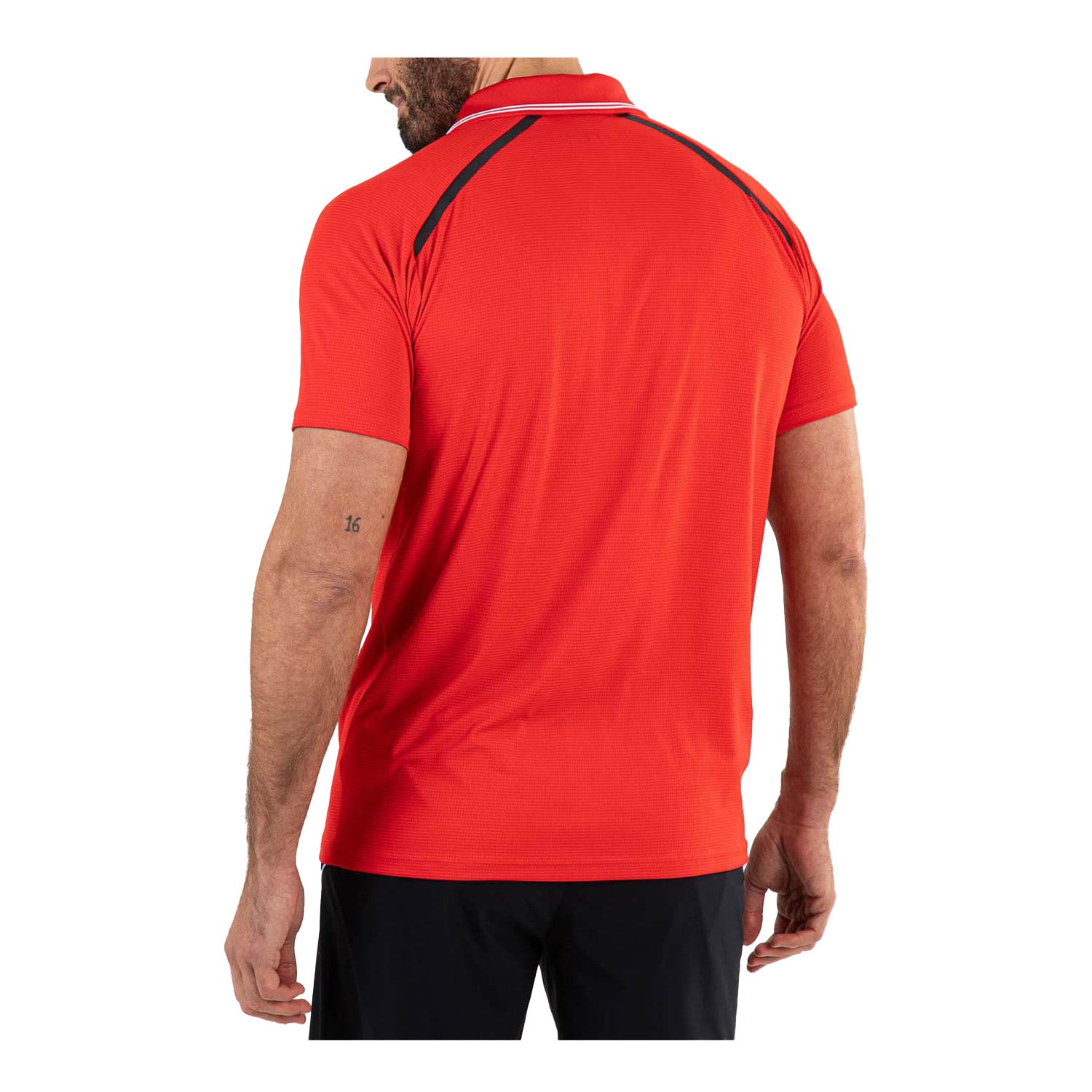 Sjeng Sports Brandon