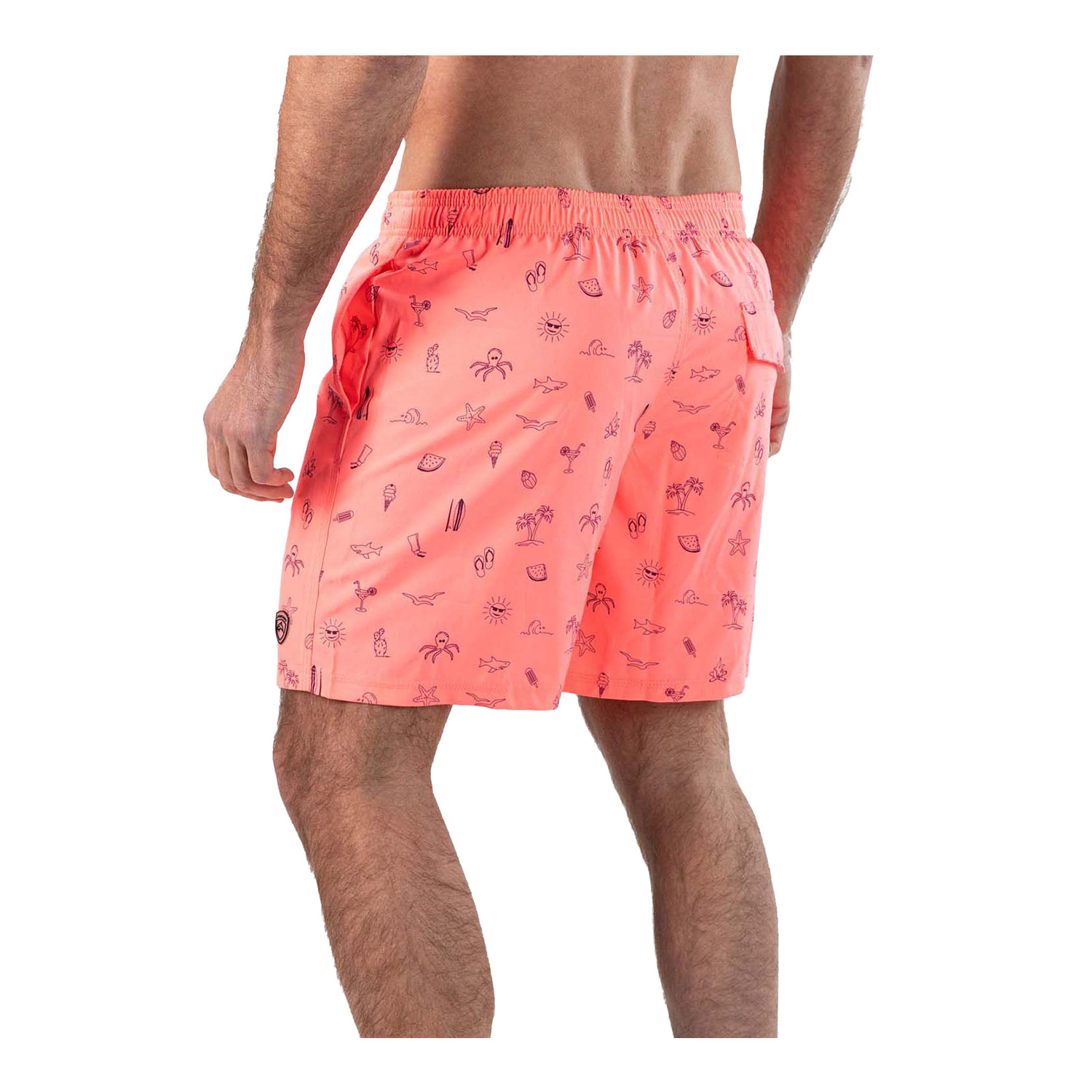 Falcon Swimshort Dray