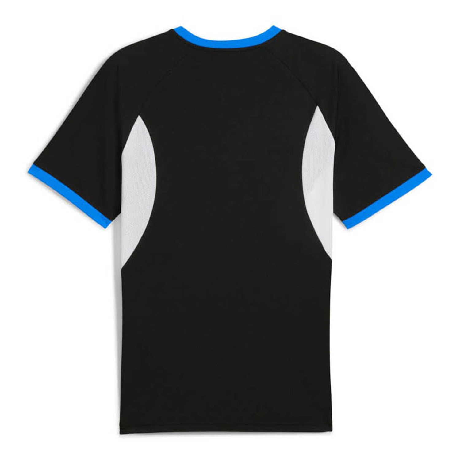 PUMA IndividualLIGA Jersey Heren