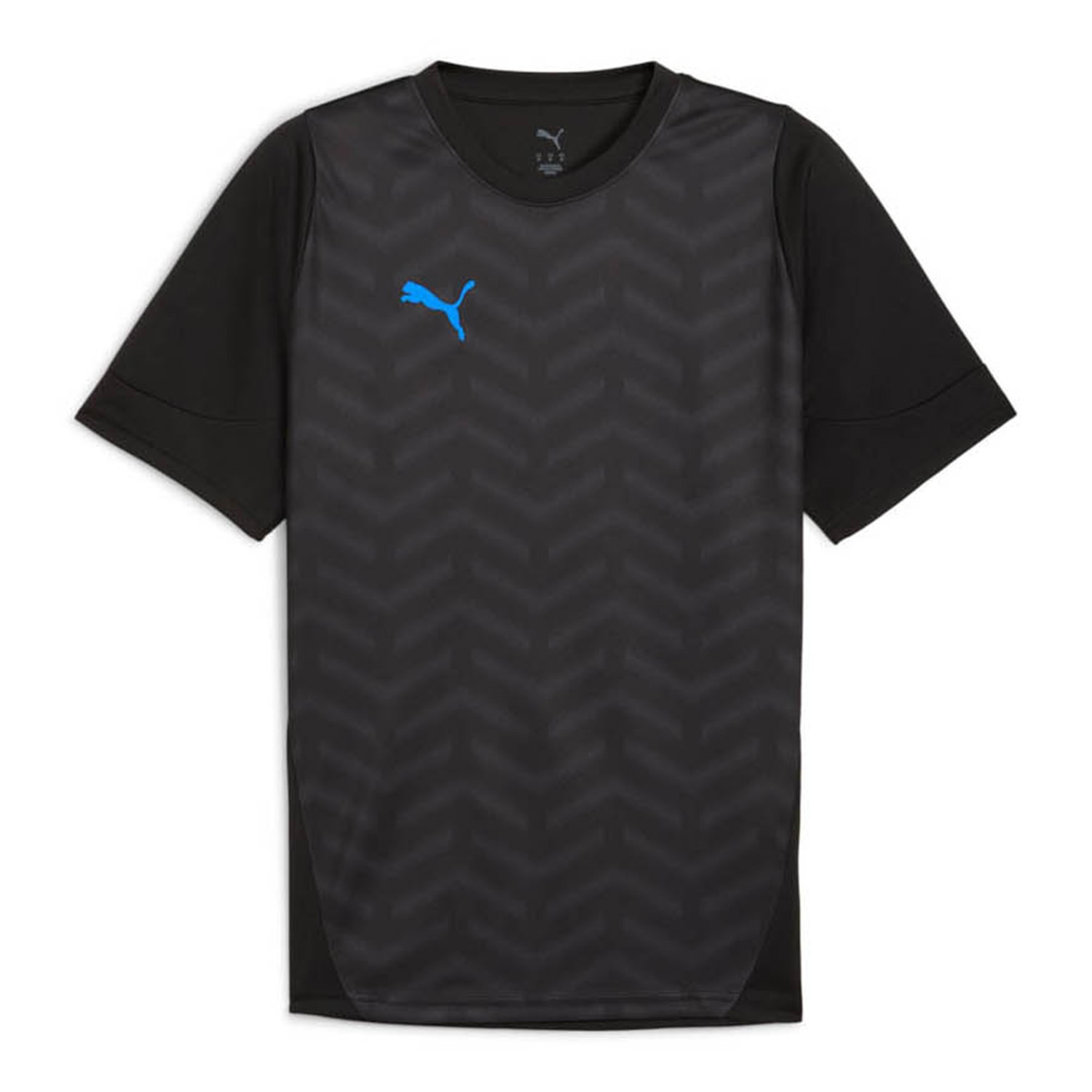 PUMA IndividualCUP Voetbalshirt Heren