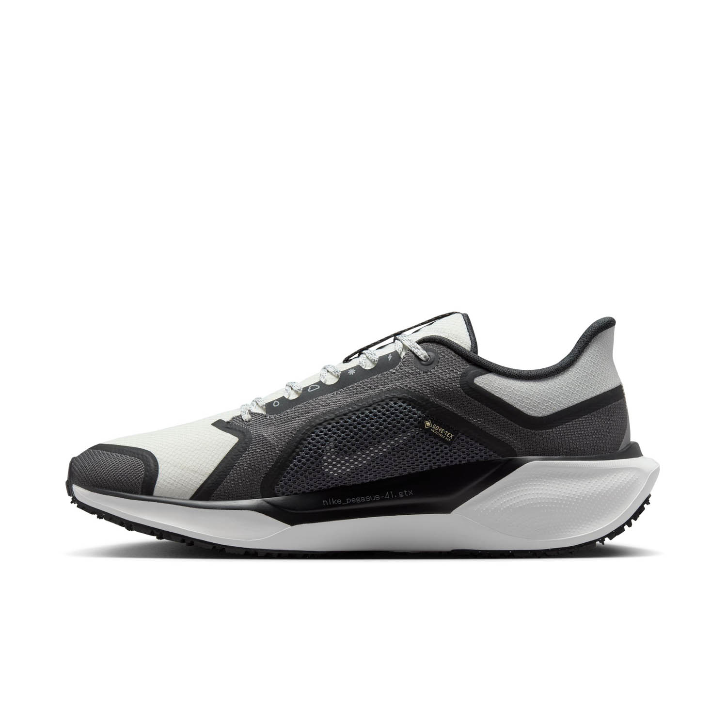 Nike Pegasus 41 Gore-Tex