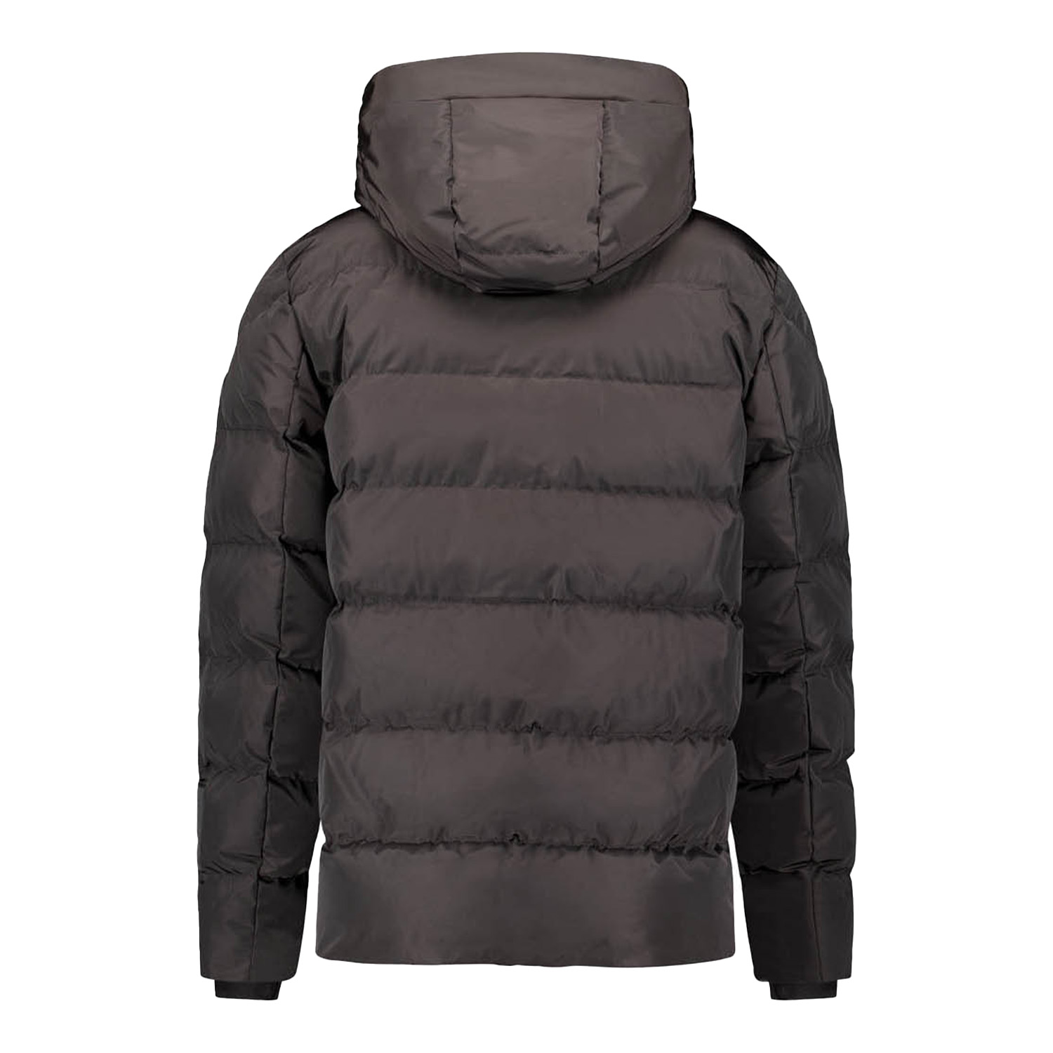 Airforce Robin Jacket