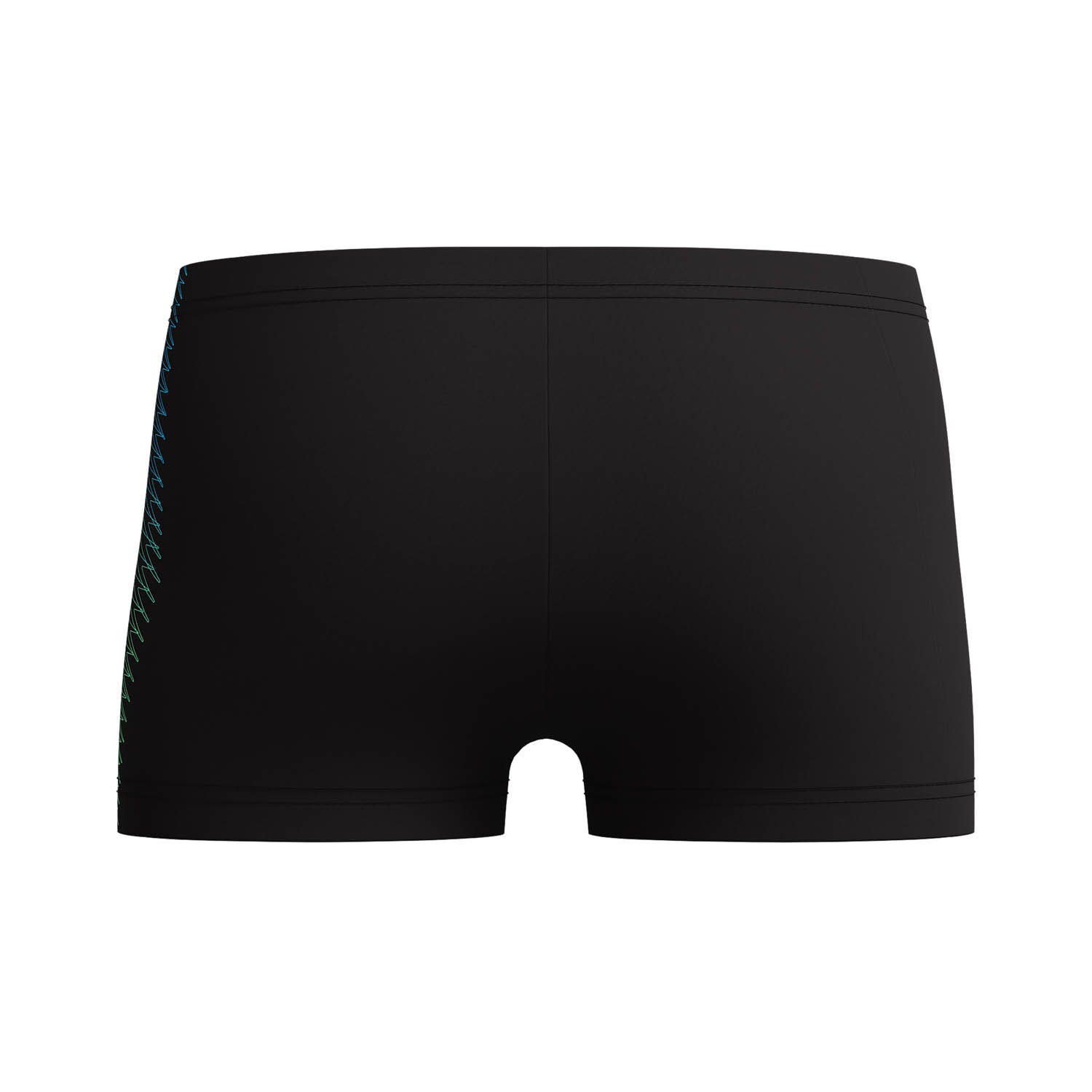 Speedo Eco Plastisol Placement Aquashort