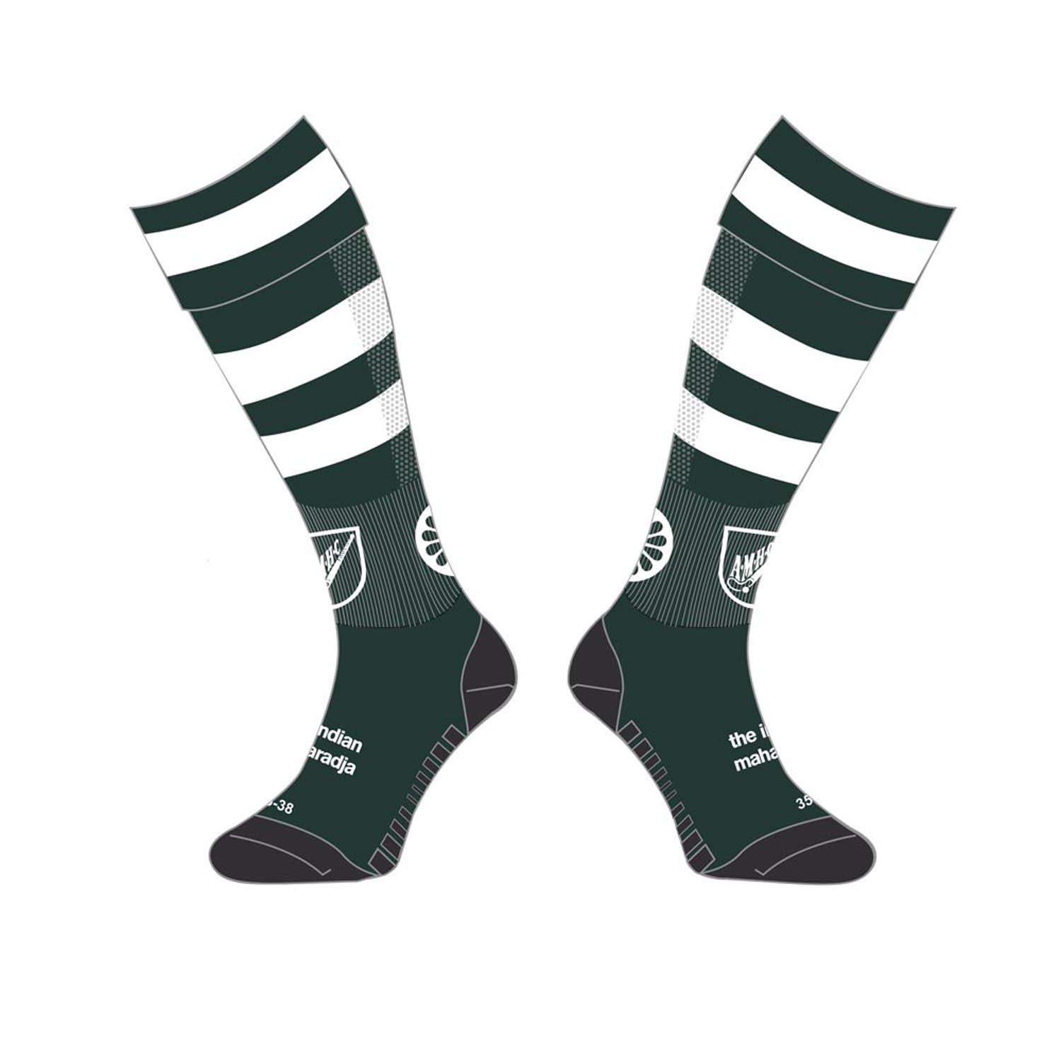 The Indian Maharadja AMHC Tech Kneehigh