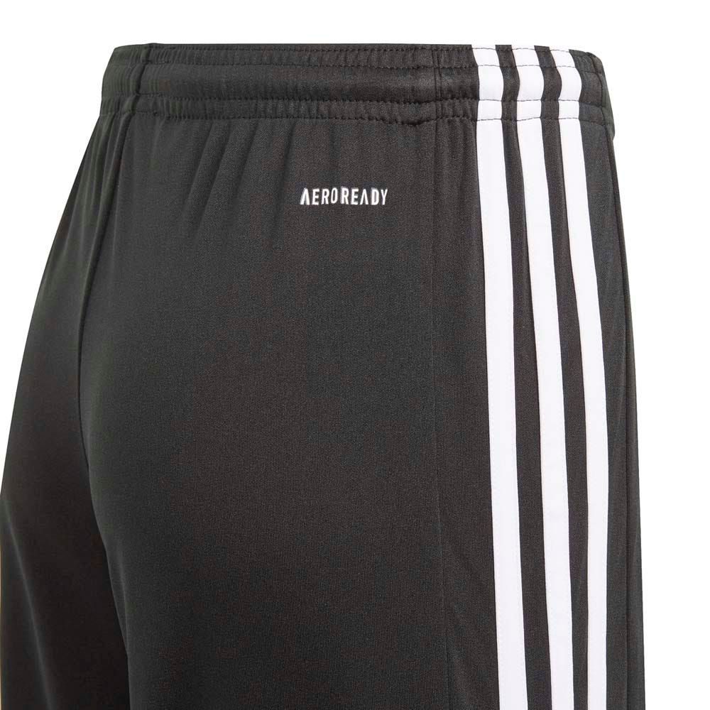 adidas Squadra 21 Short Kids
