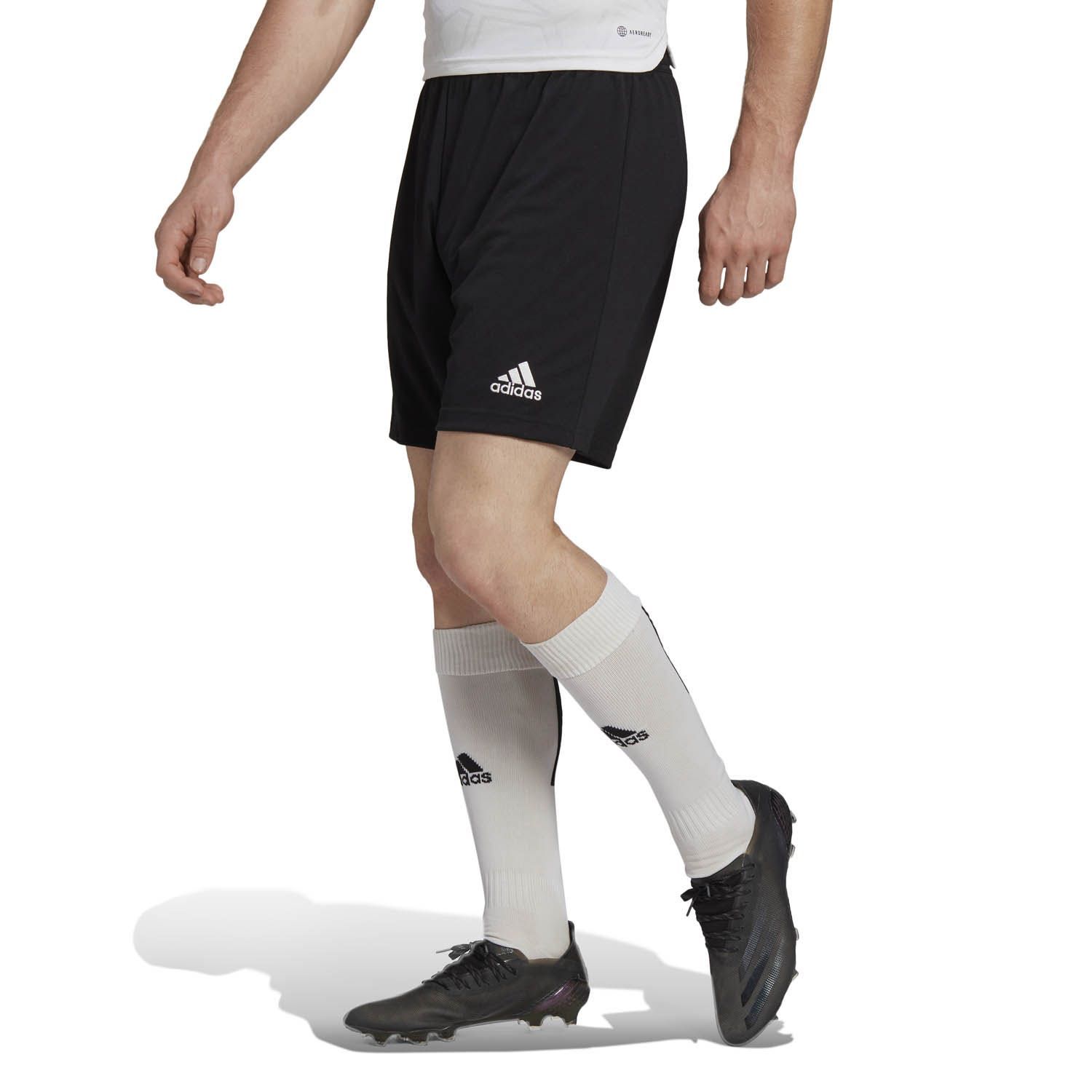 adidas Entrada 22 Short