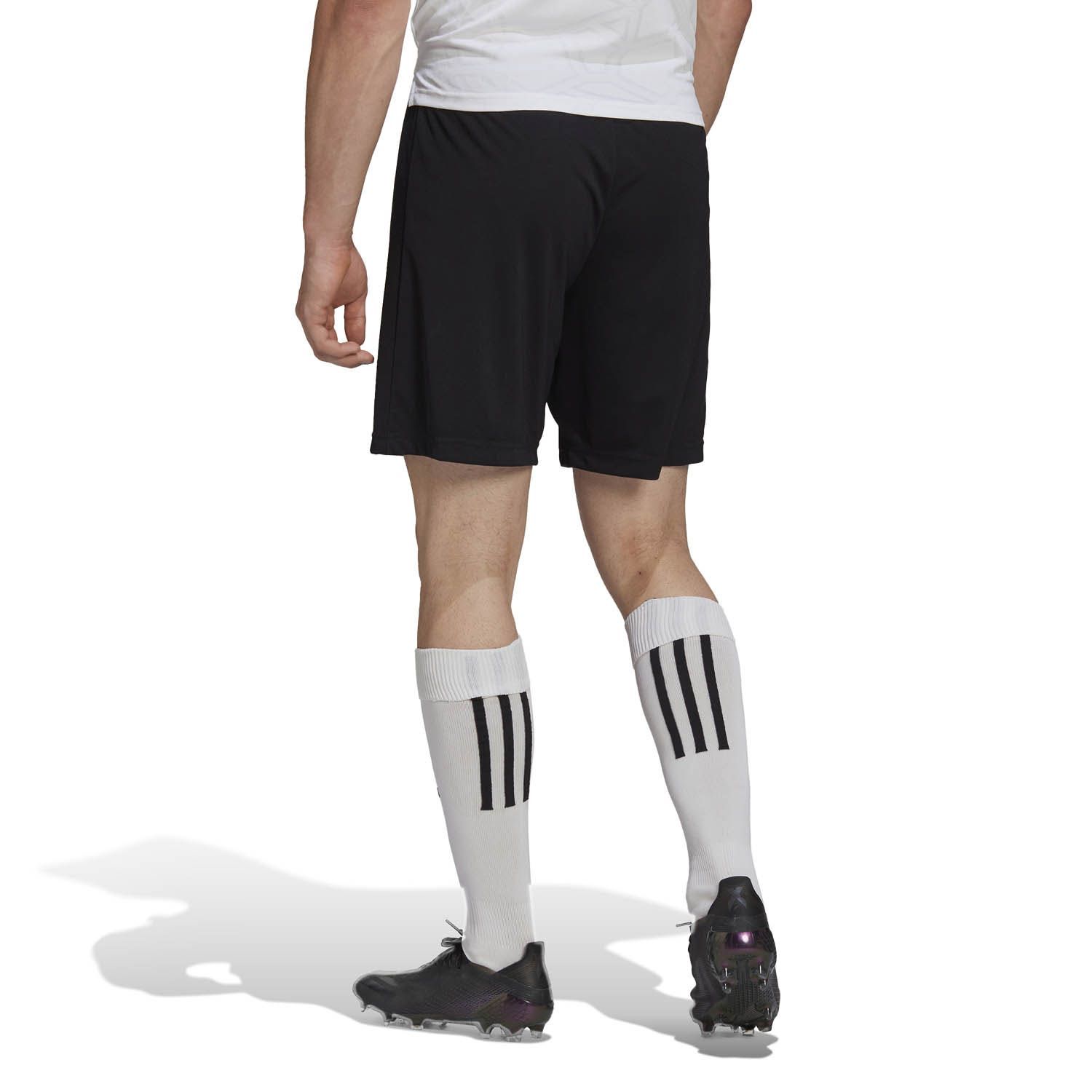 adidas Entrada 22 Short