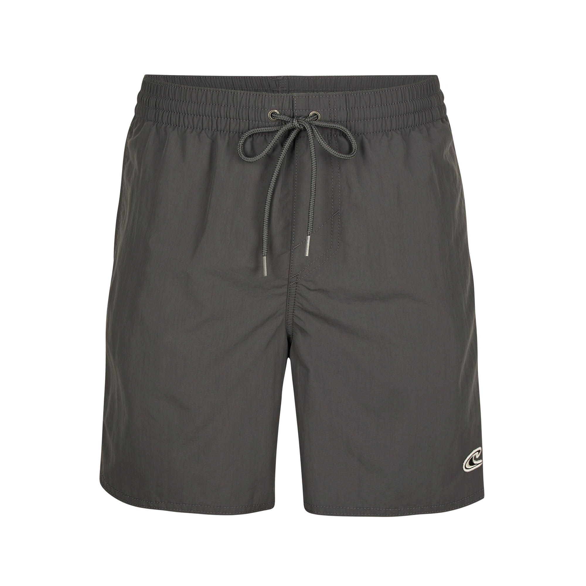 O'Neill Vert Swim Shorts
