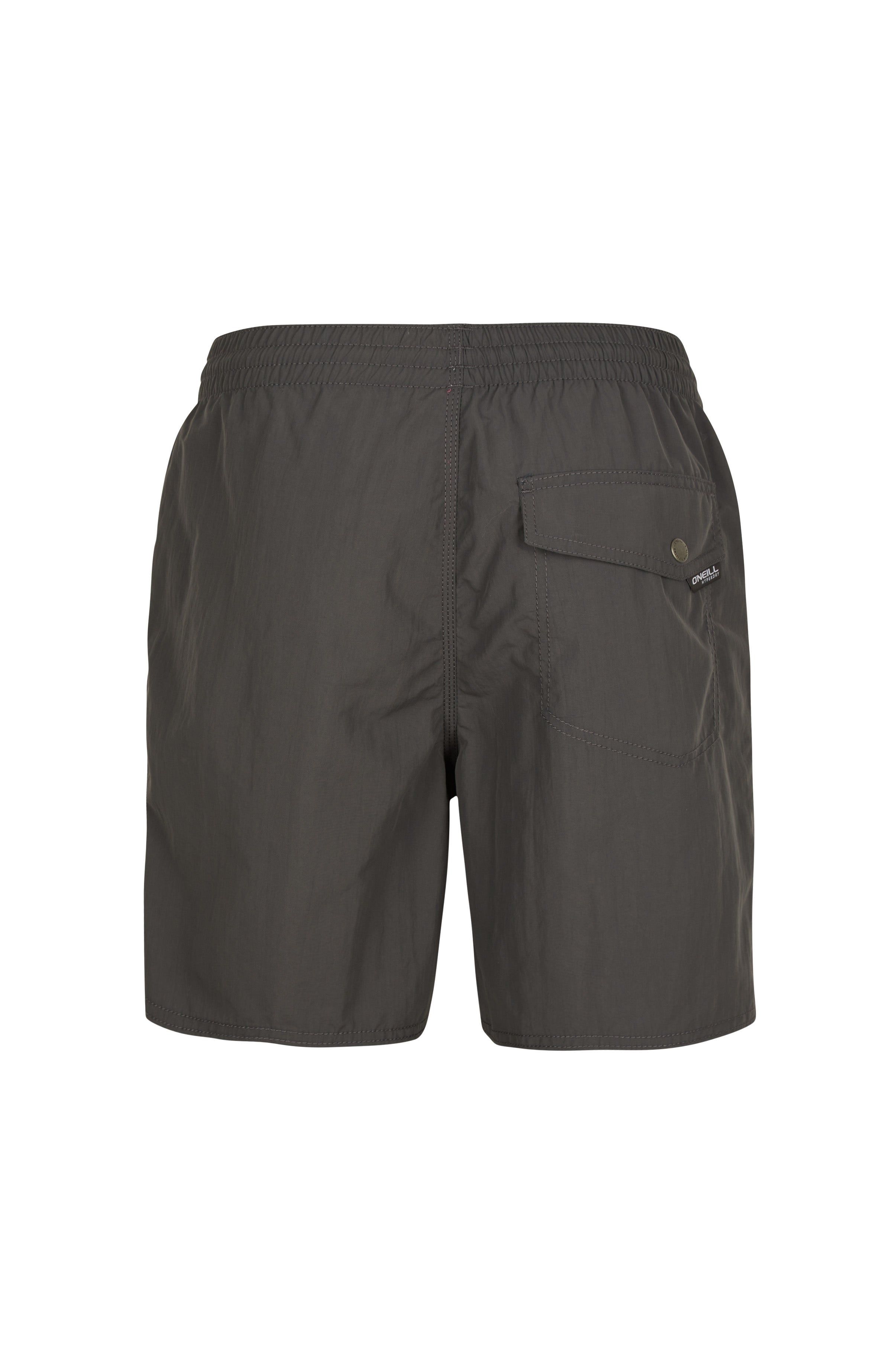 O'Neill Vert Swim Shorts