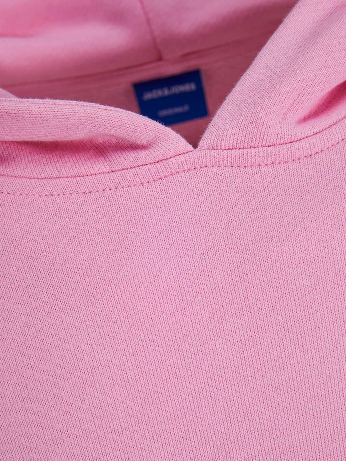 Jack & Jones Exotic Sweat Hood