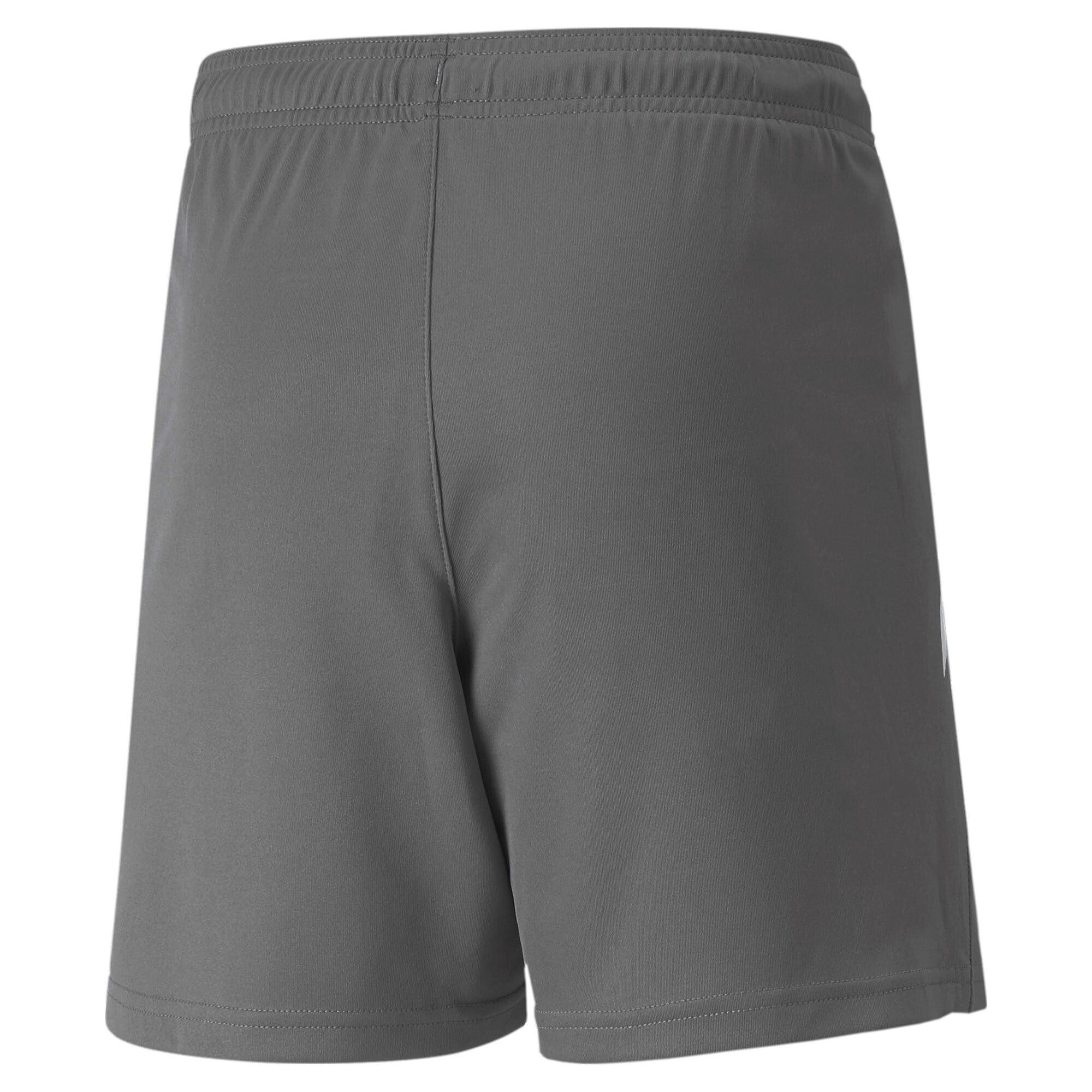 PUMA Teamliga Shorts Kids