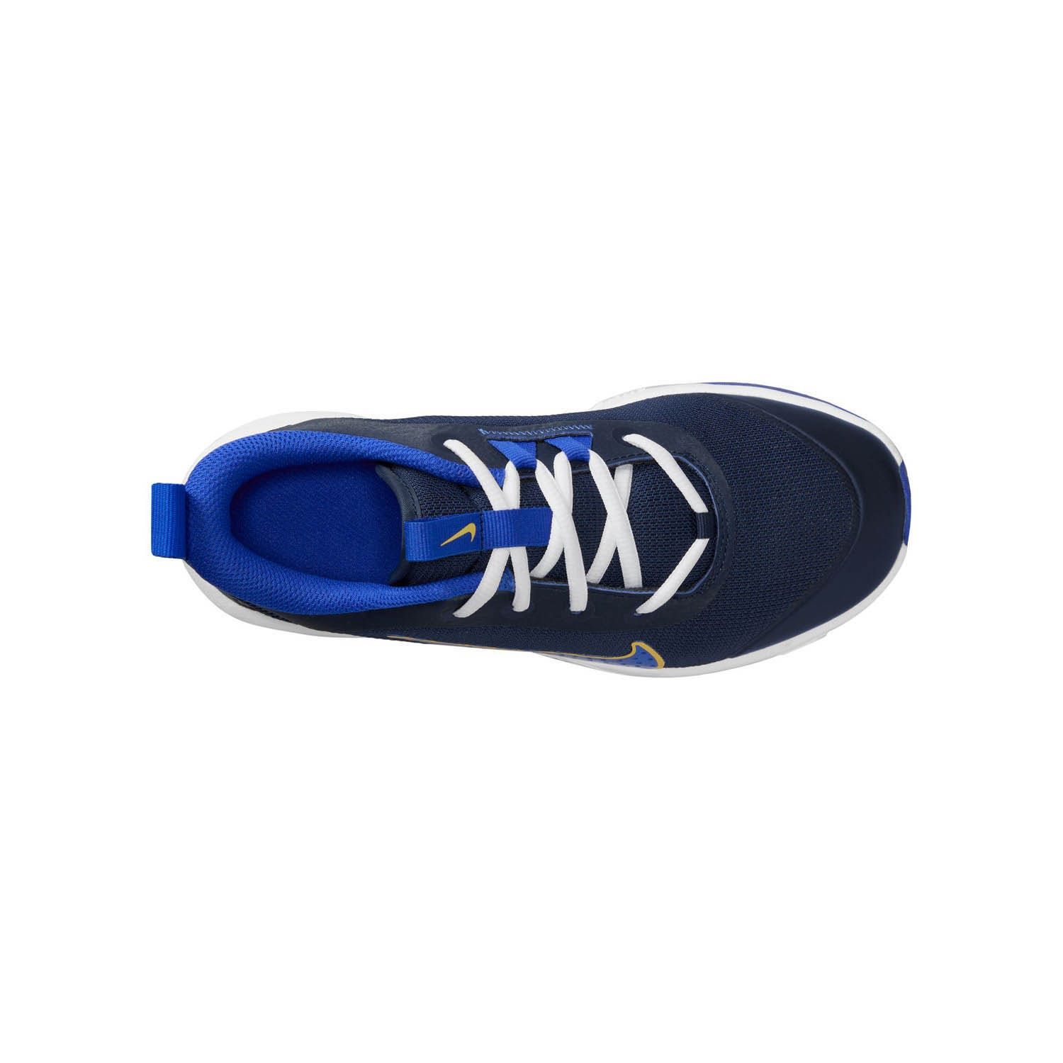 Nike Omni Multi-Court Big Kids