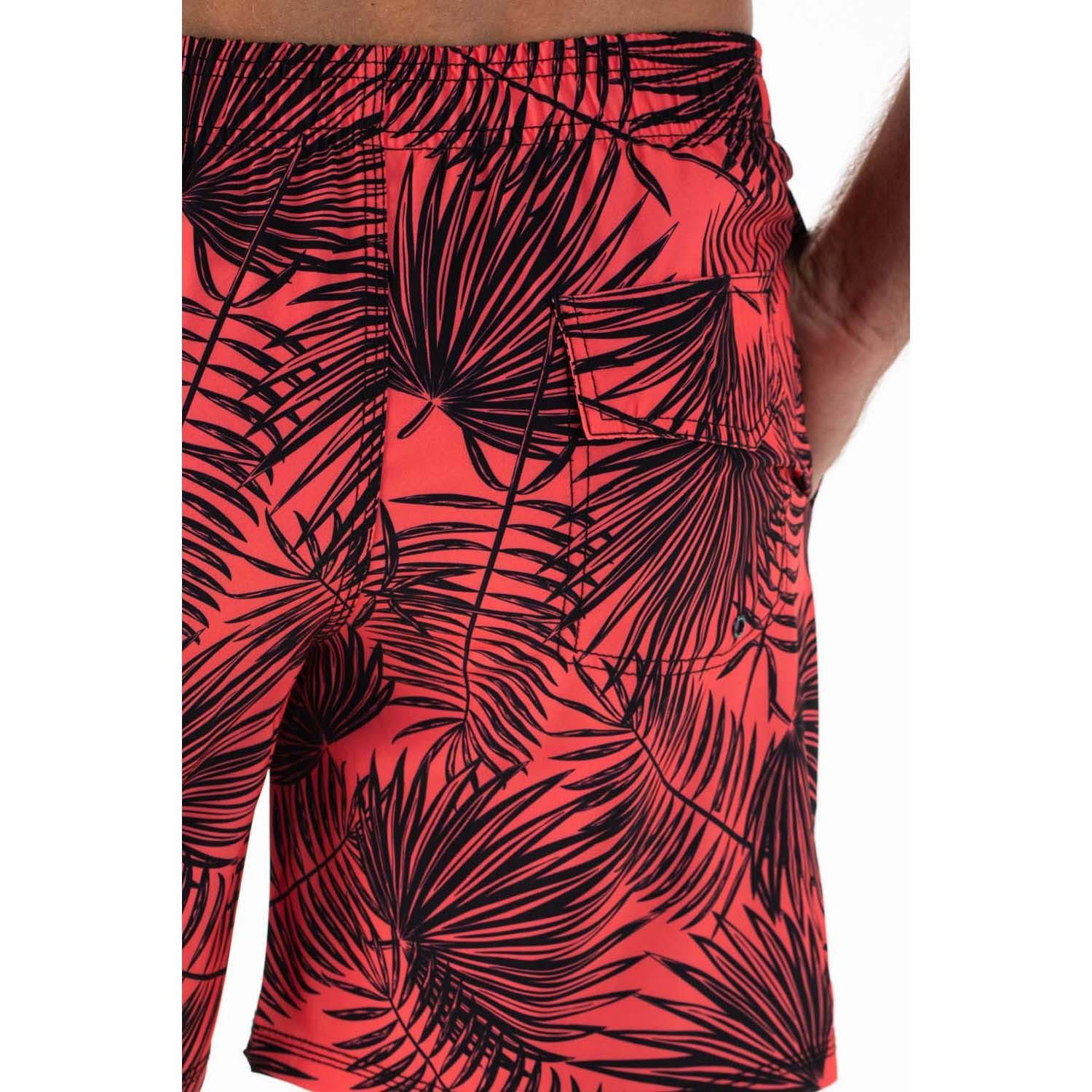 Falcon Swimshort Dray