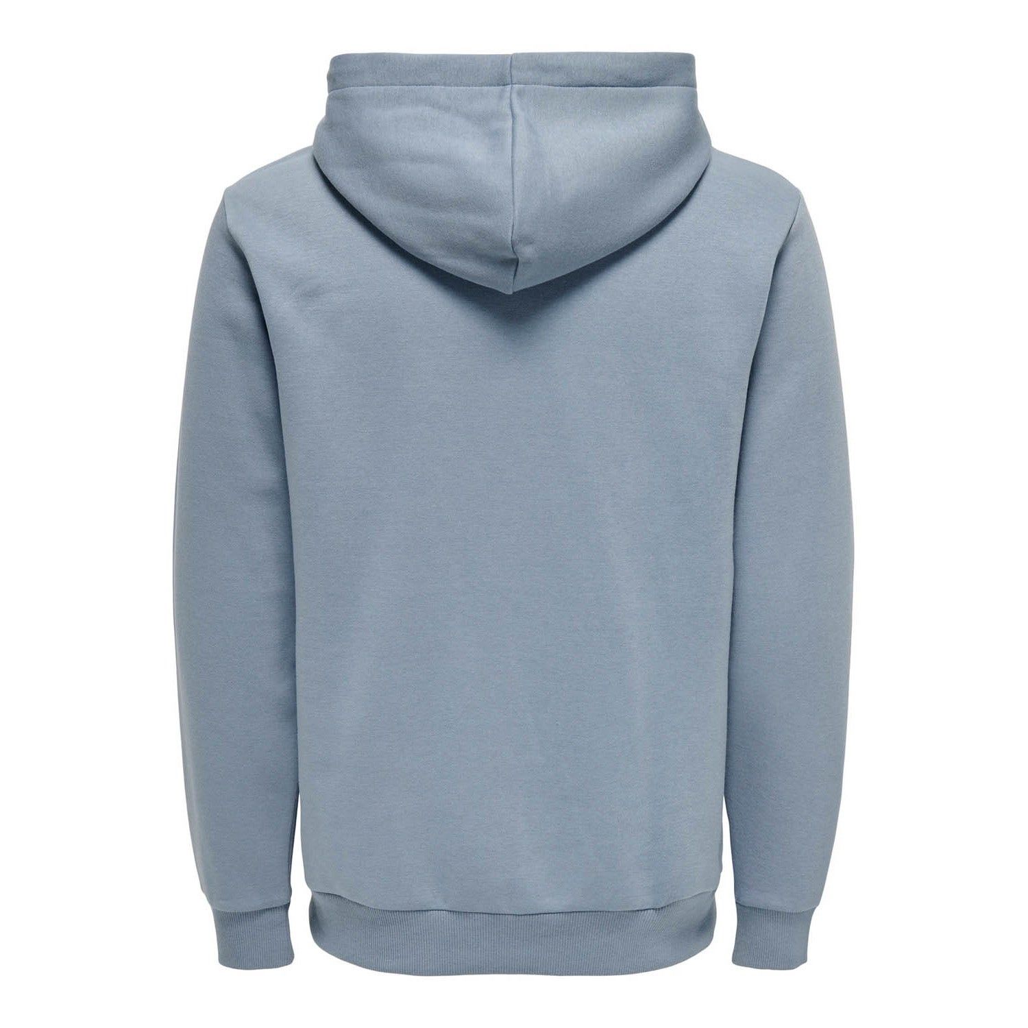 ONLY & Sons Brennan Regular Hoodie