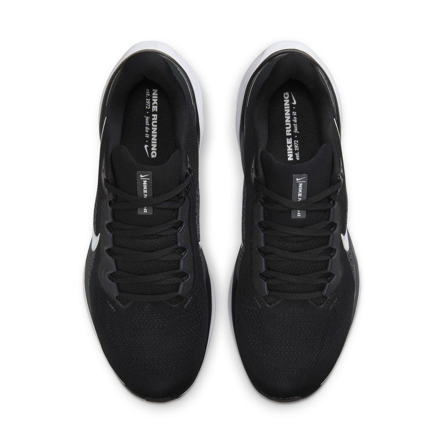 Nike Pegasus 41