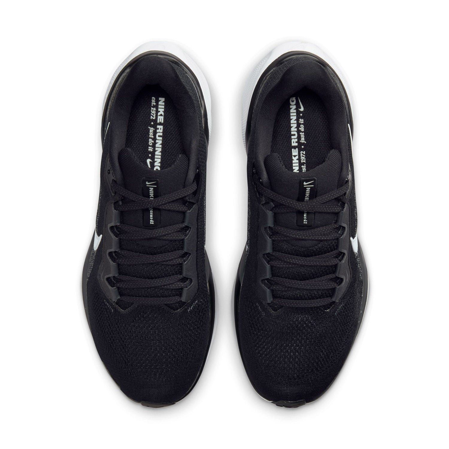 Nike Pegasus 41 Dames
