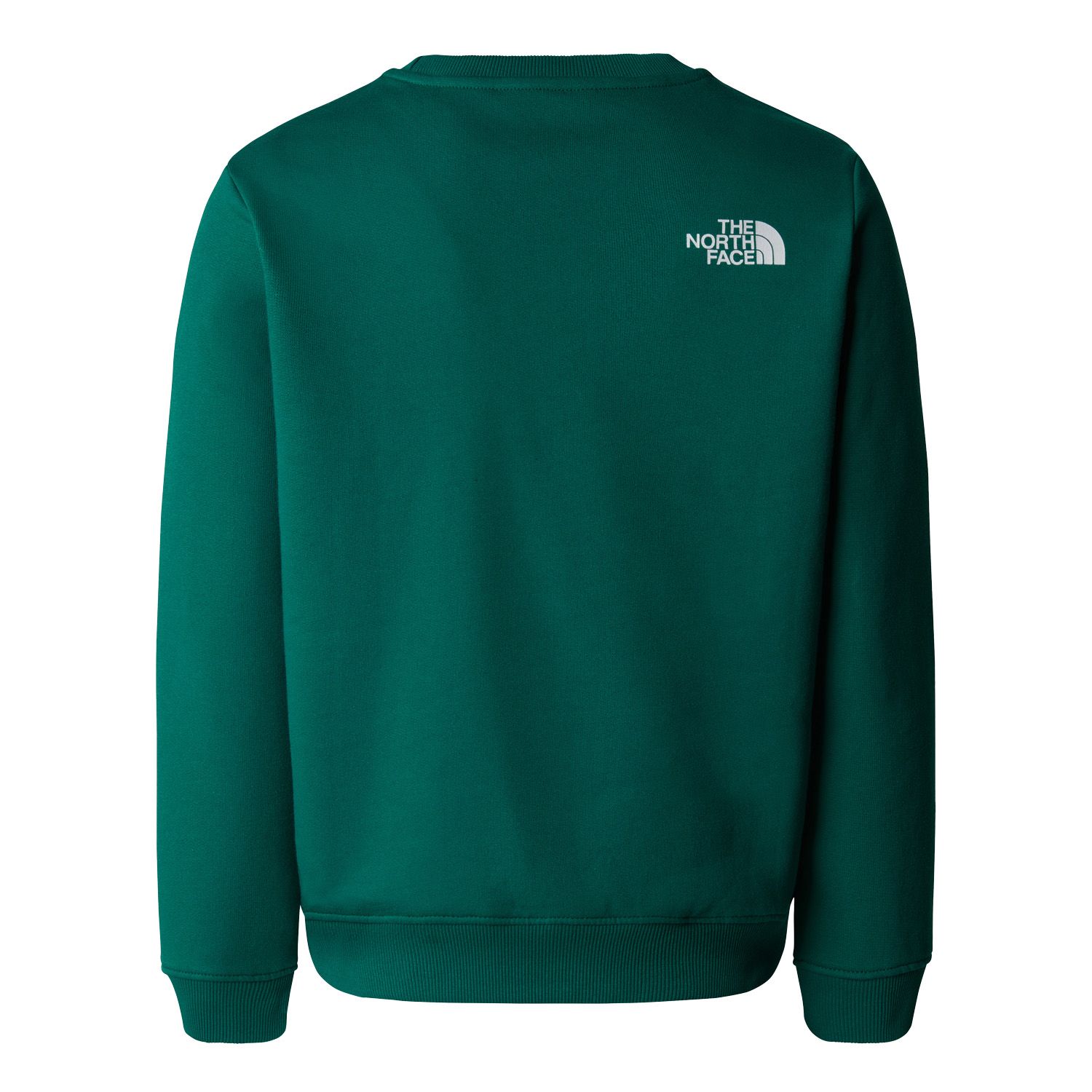 The North Face Varsity Relaxed Crew Kids