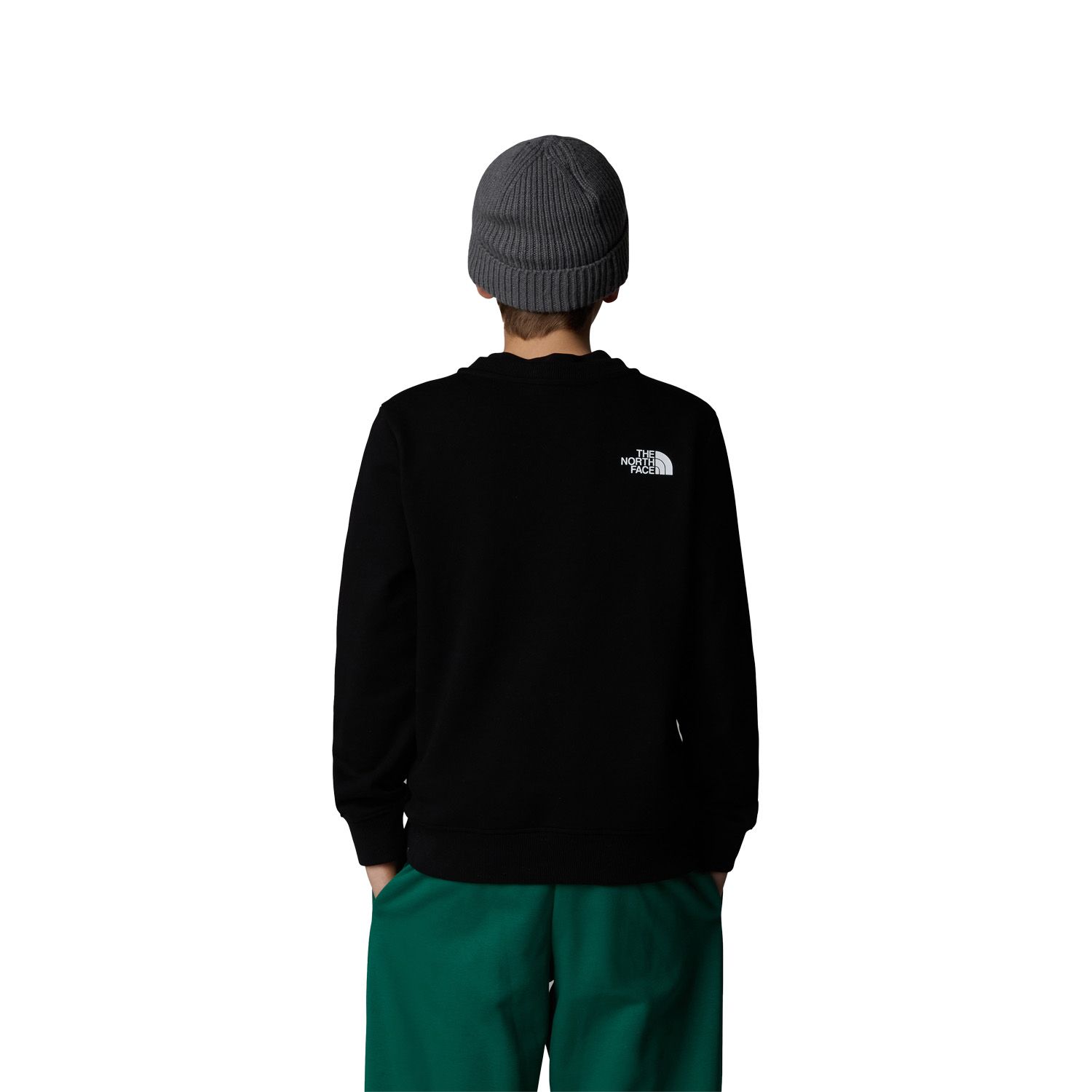 The North Face Varsity Relaxed Crew Kids