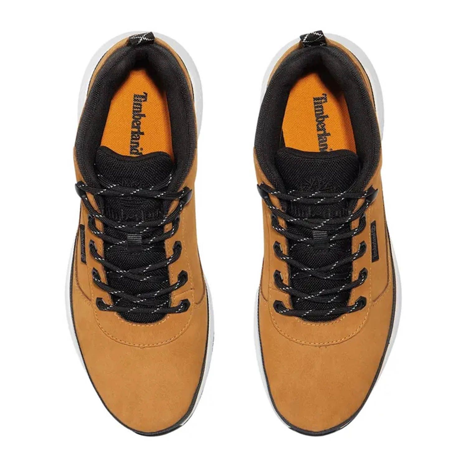 Timberland Field Trekker Hiking Sneaker