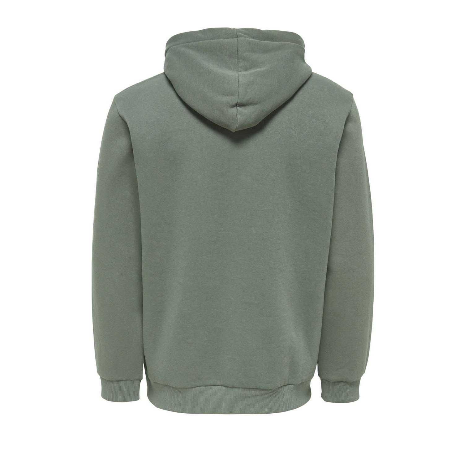 ONLY & Sons Onsceres Sweatshirt