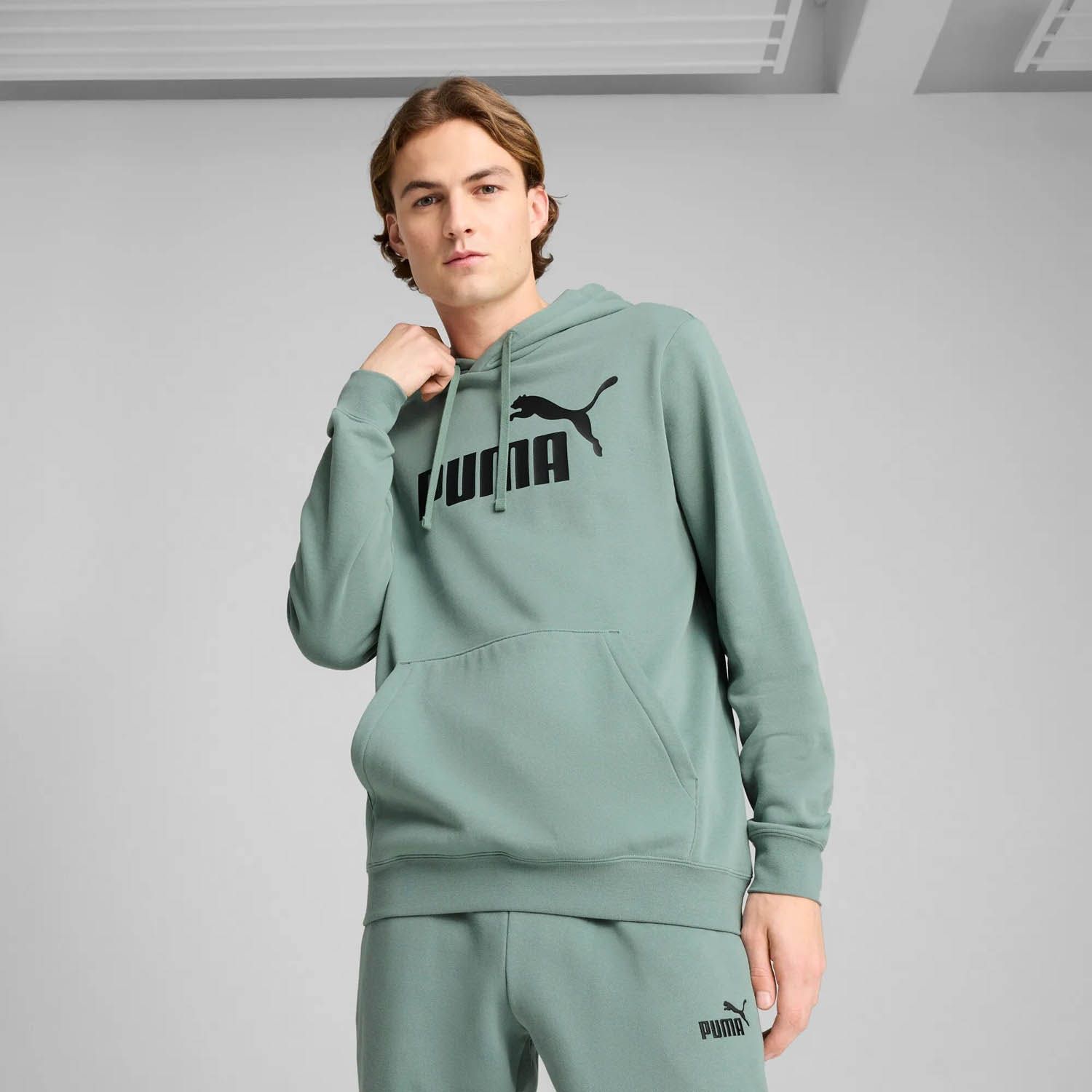 PUMA Essentials No. 1 Logo Hoodie Heren